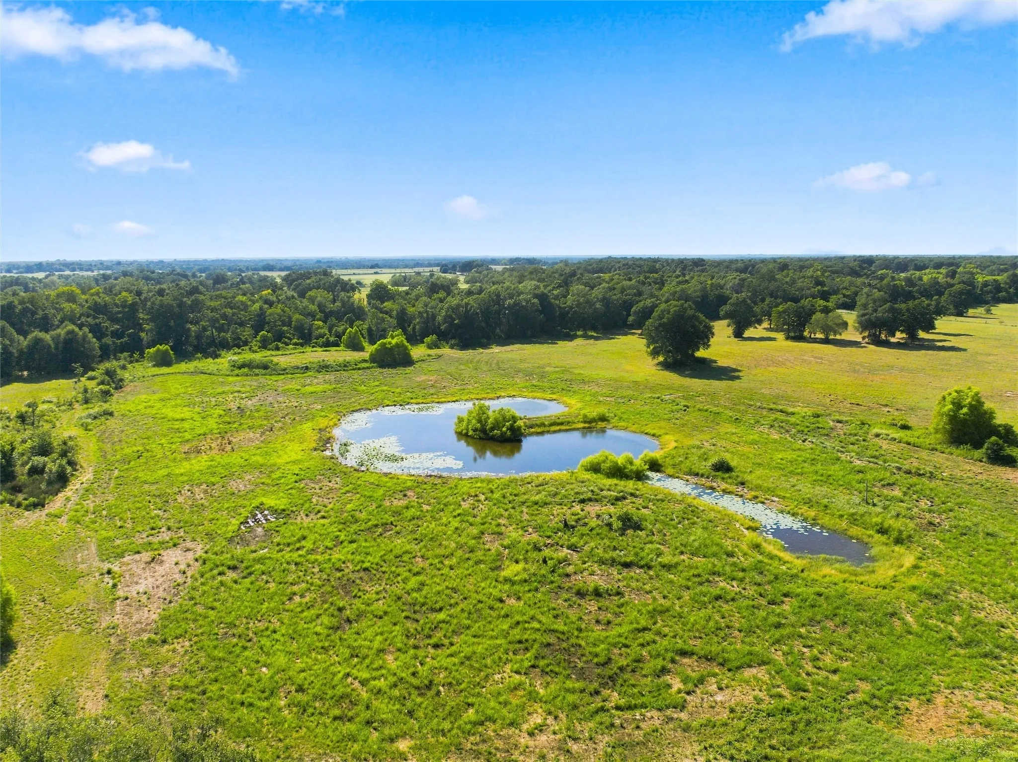 Expansive green landscape with mature trees and a tranquil pond featuring a central island