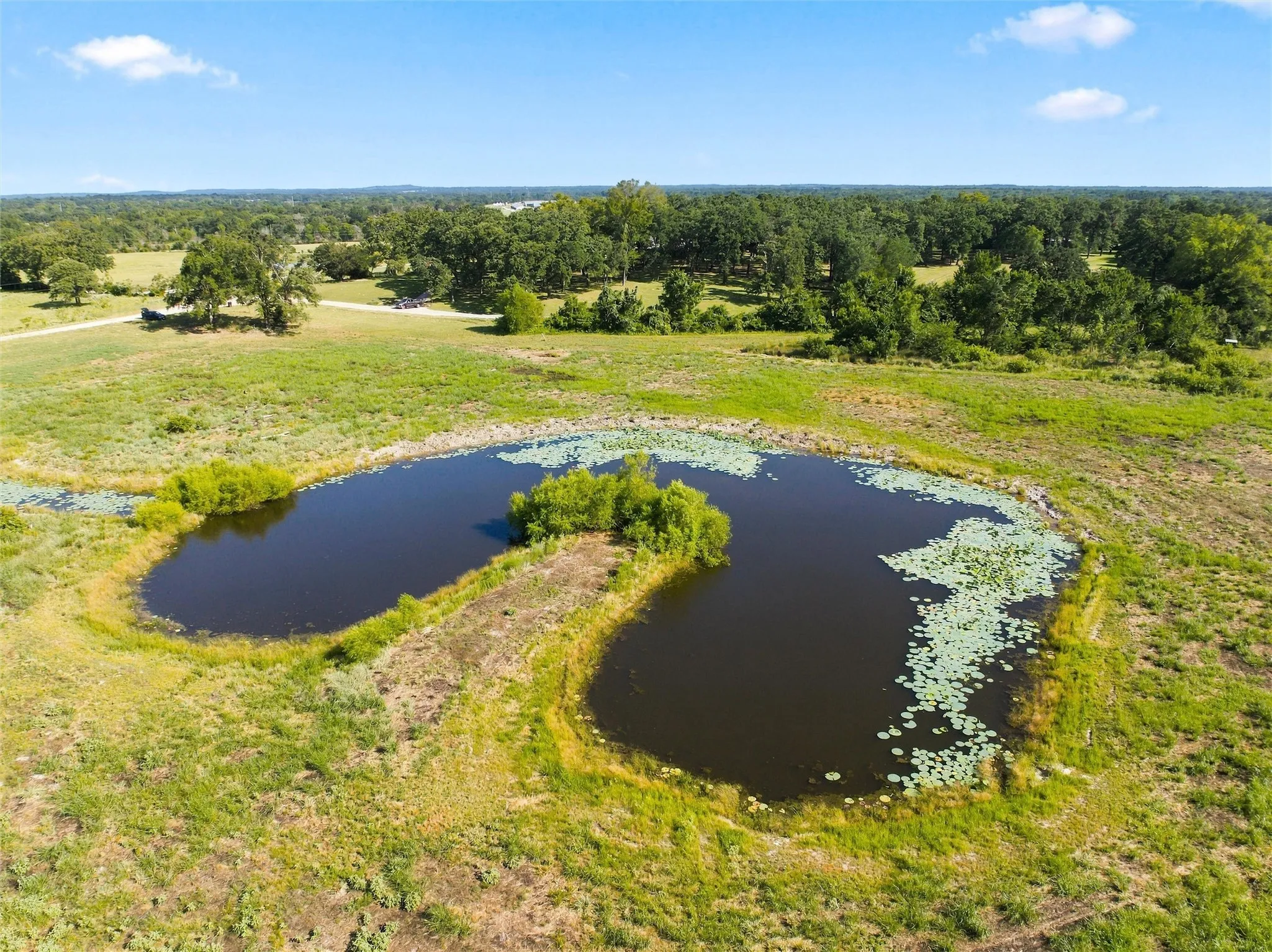 Expansive natural landscape featuring two distinct ponds with water lily coverage, surrounded by verdant grasslands and mature trees