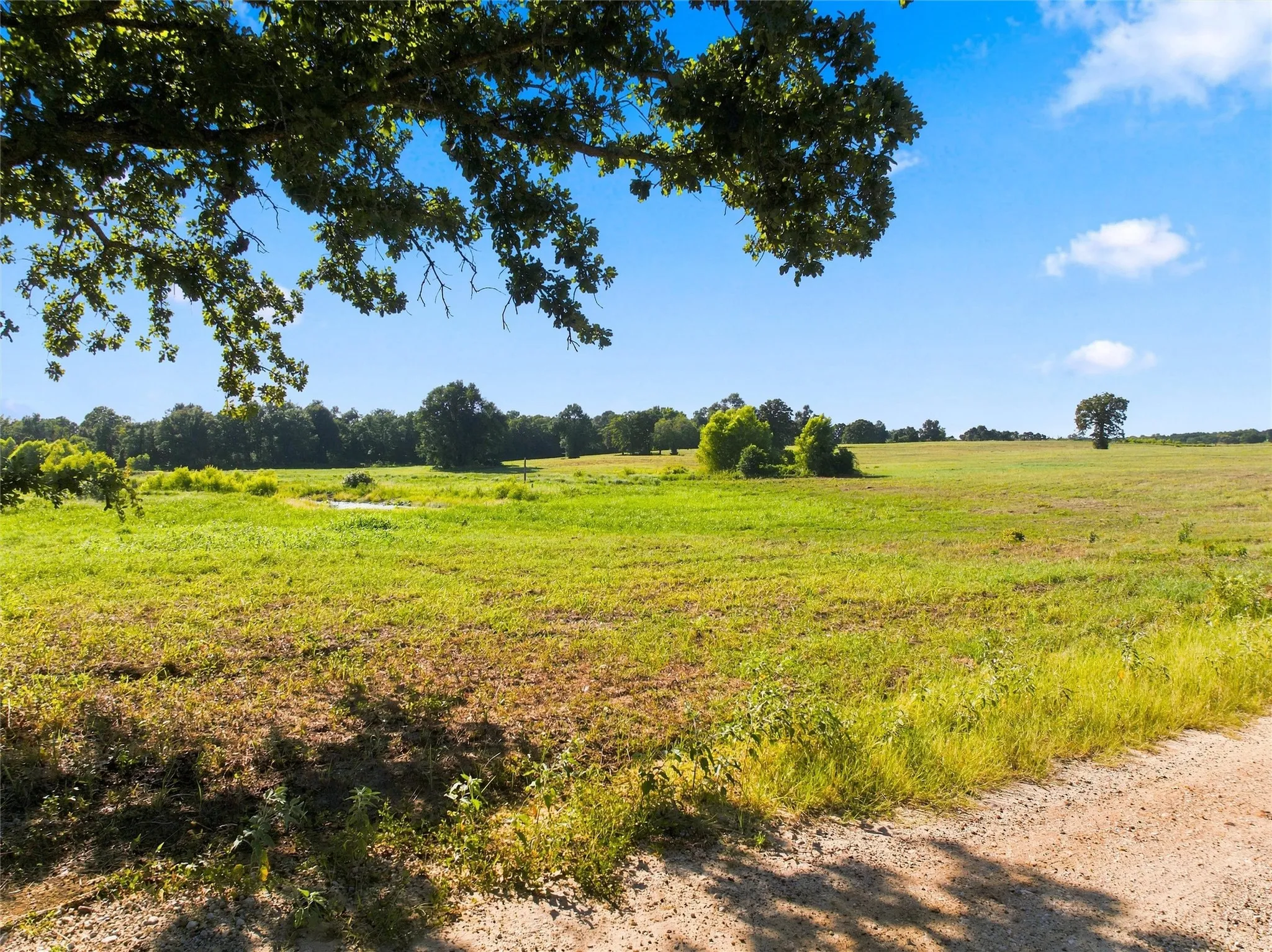 Unimproved Land For Sale in Freestone County , TBD Private Road 607, Teague, Texas 75860, 0, 0, Garage spaces, 0 Sqft, built in 0, Price $249,500, mls#21353227, Real Estate Agent in Teague, Homes For Sale in Freestone county, Homes For Sale in Teague, Realtor in Teague Texas, Real Estate Brokerage Independent Realty Texas, Luminita Cordes Realtor