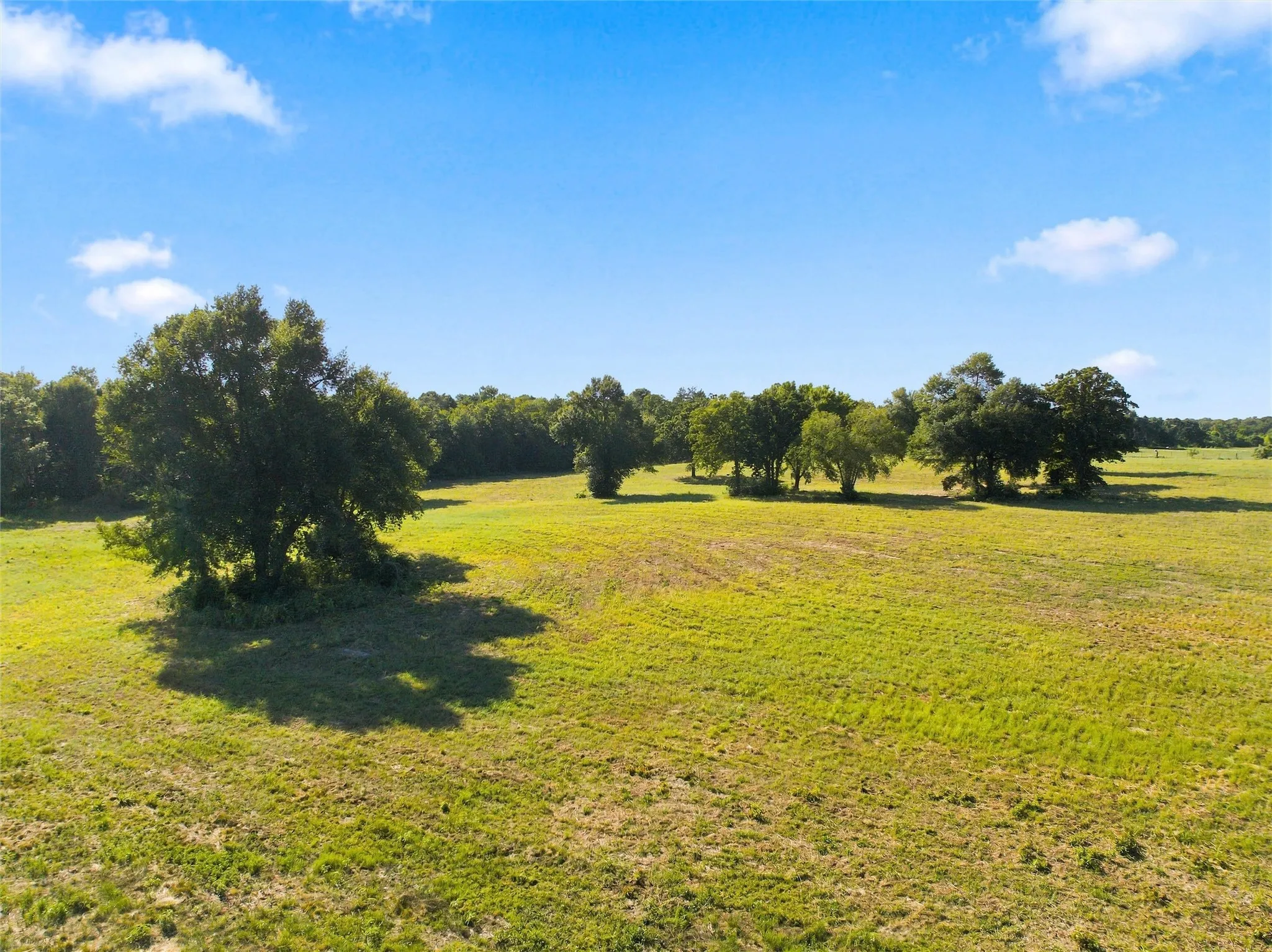 Unimproved Land For Sale in Freestone County , TBD Private Road 607, Teague, Texas 75860, 0, 0, Garage spaces, 0 Sqft, built in 0, Price $249,500, mls#21353227, Real Estate Agent in Teague, Homes For Sale in Freestone county, Homes For Sale in Teague, Realtor in Teague Texas, Real Estate Brokerage Independent Realty Texas, Luminita Cordes Realtor