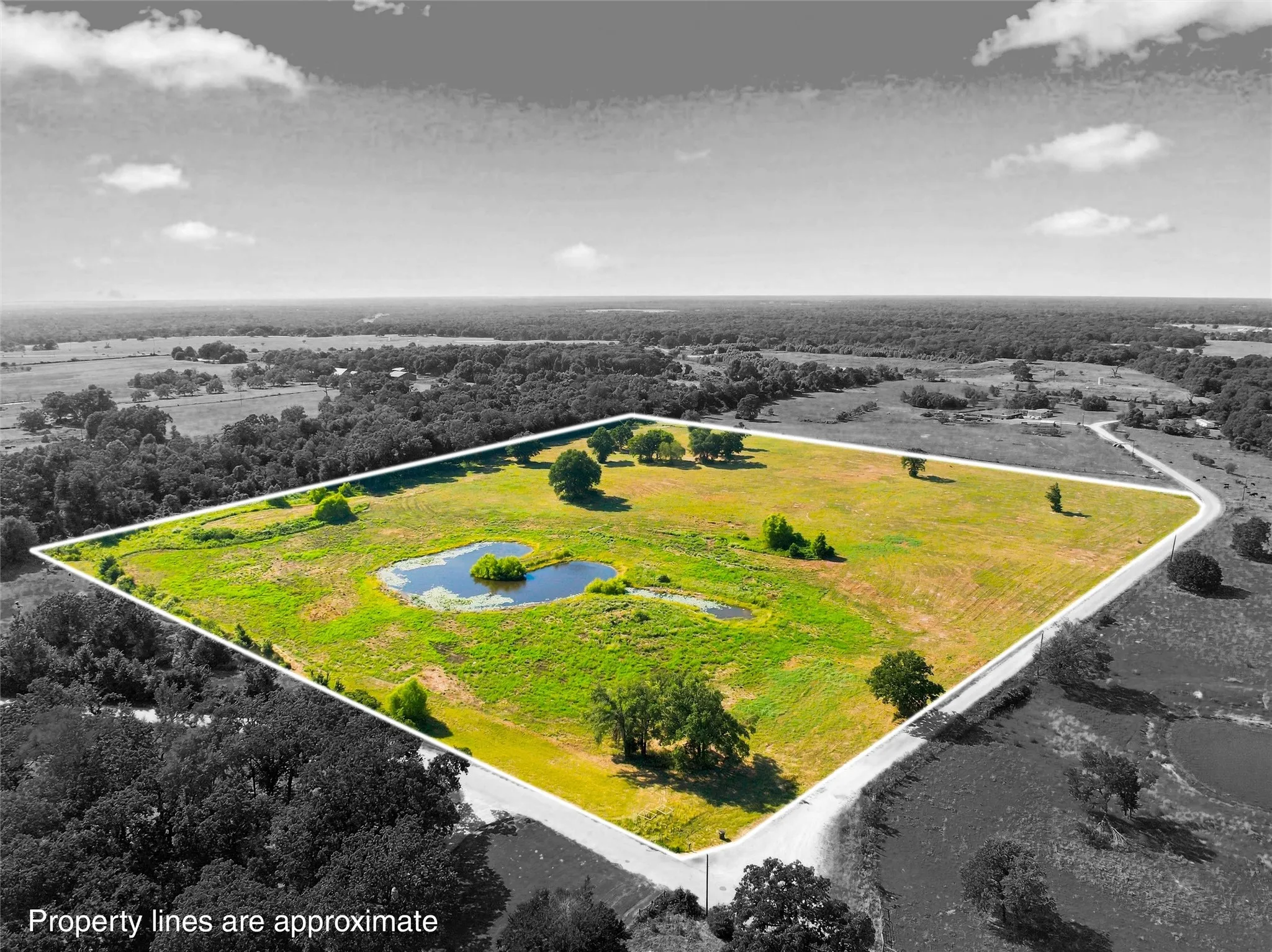 Expansive acreage featuring a natural pond, mature trees, and a perimeter outlining the property boundaries