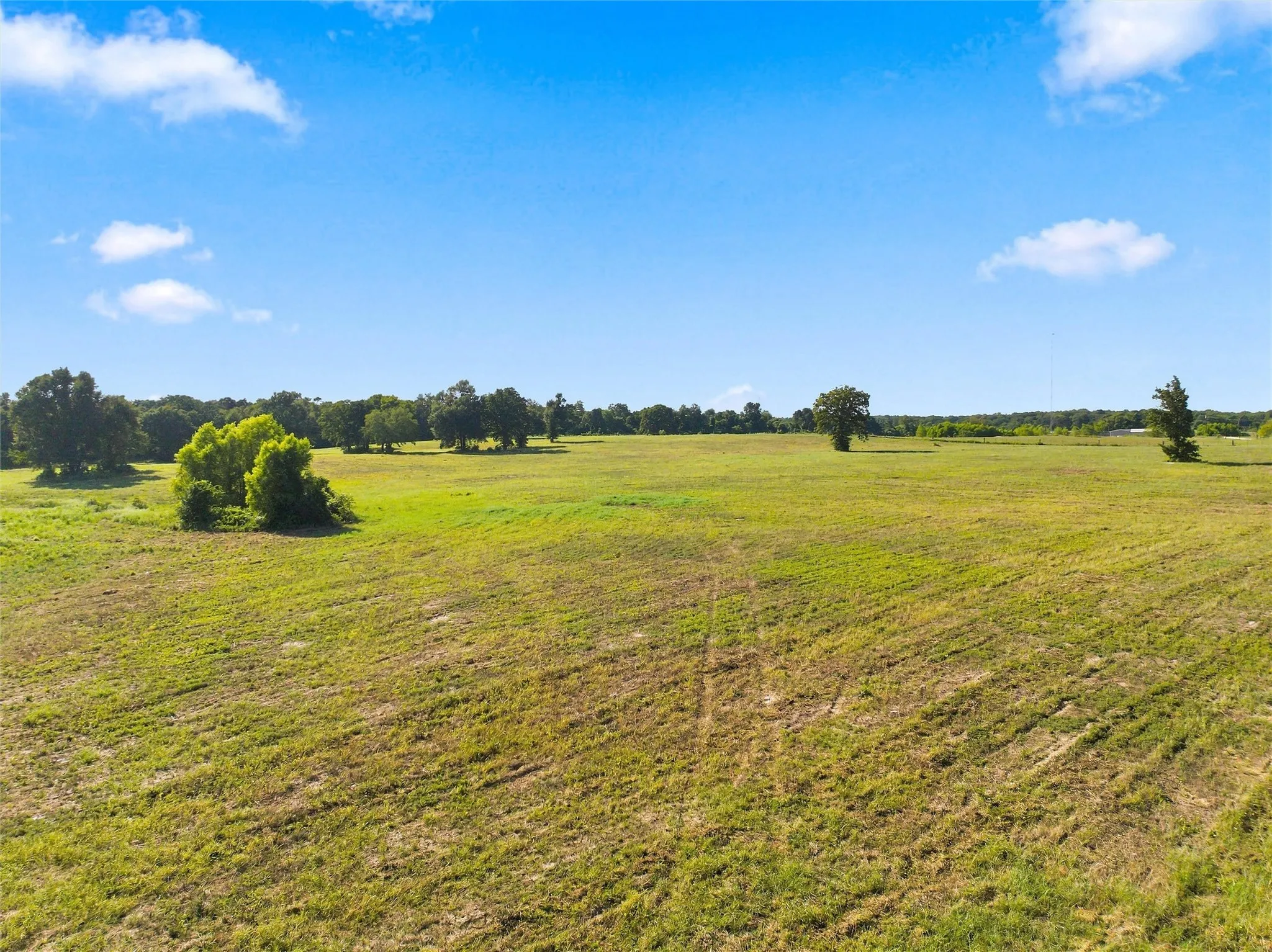 Expansive open field with scattered trees and a distant tree line