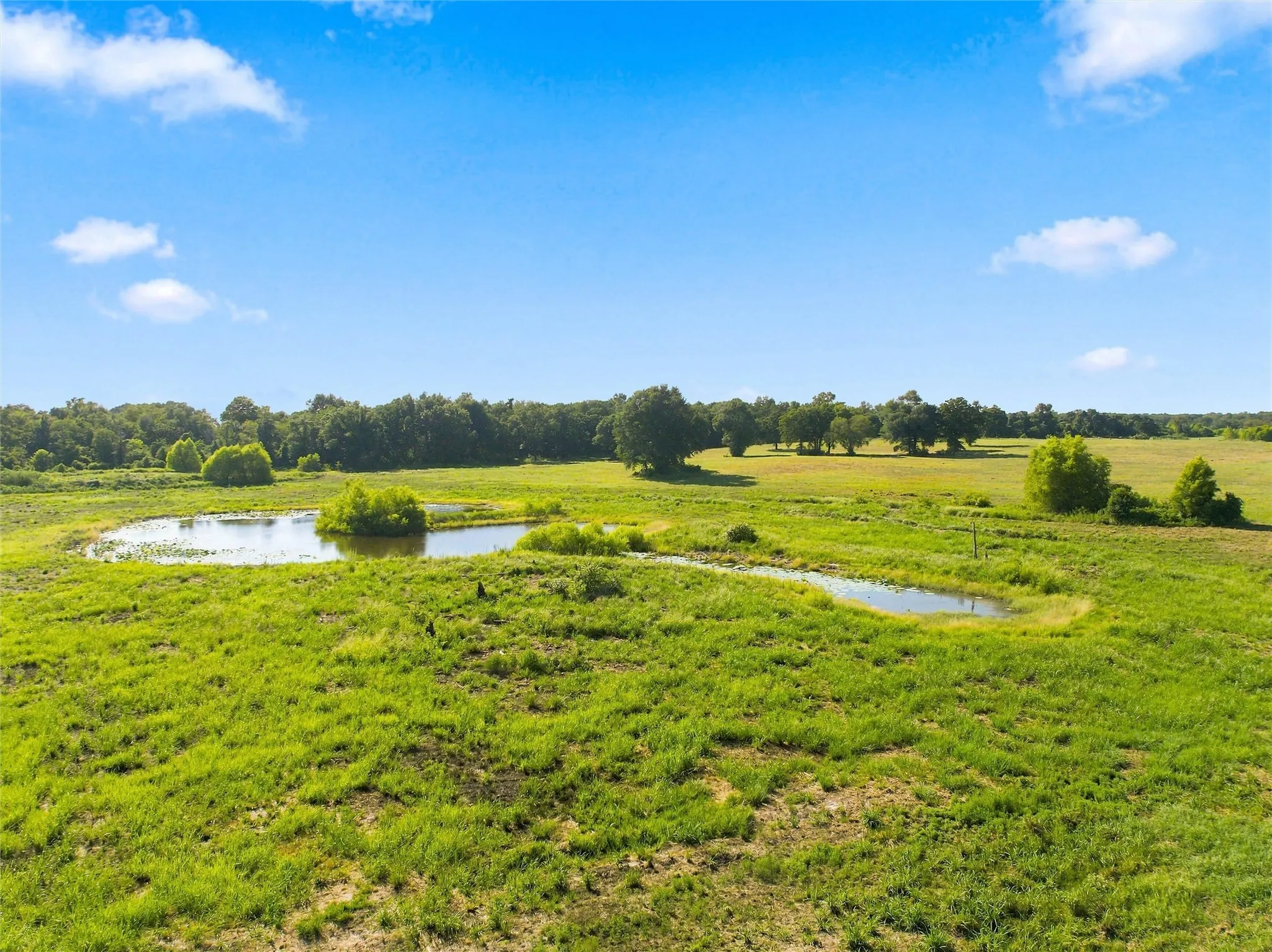 Unimproved Land For Sale in Freestone County , TBD Private Road 607, Teague, Texas 75860, 0, 0, Garage spaces, 0 Sqft, built in 0, Price $249,500, mls#21353227, Real Estate Agent in Teague, Homes For Sale in Freestone county, Homes For Sale in Teague, Realtor in Teague Texas, Real Estate Brokerage Independent Realty Texas, Luminita Cordes Realtor