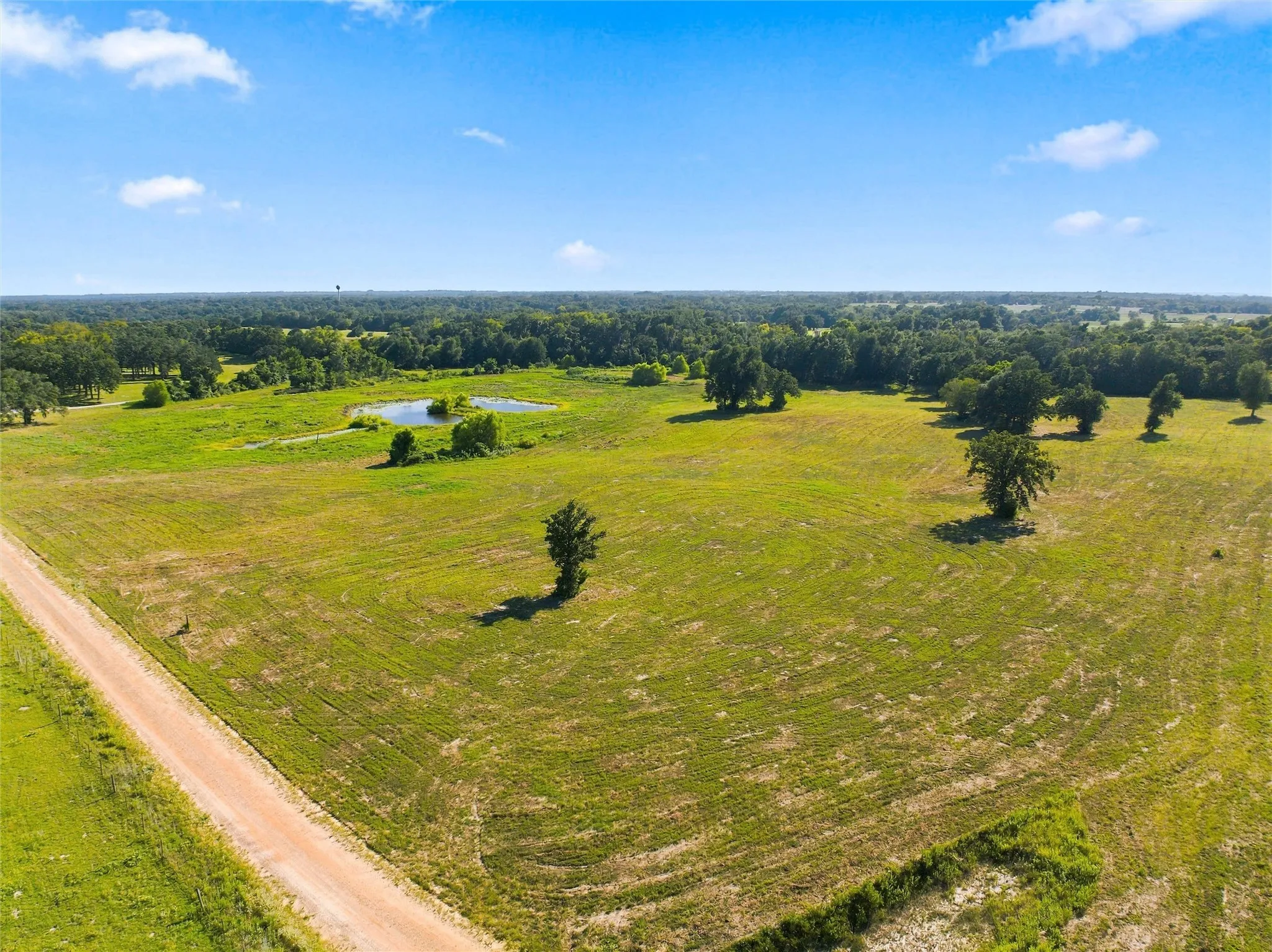 Expansive open field with scattered trees, a visible pond, and a defined dirt road