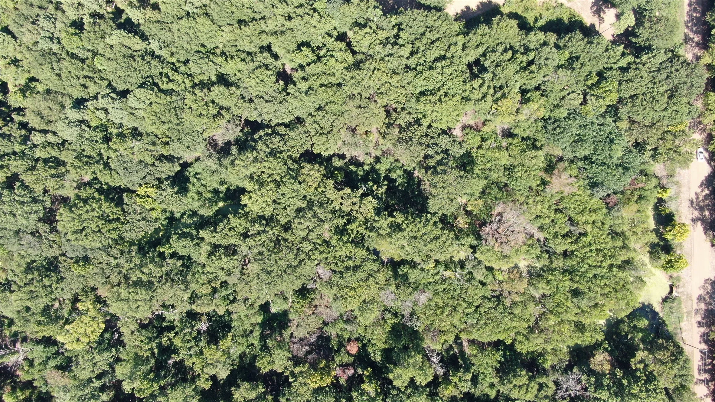 Unimproved Land For Sale in Henderson County , 0 Big Eddy Road, Chandler, Texas 75758, 0, 0, Garage spaces, 0 Sqft, built in 0, mls#21353268, Real Estate Agent in Chandler, Homes For Sale in Henderson county, Homes For Sale in Chandler, Realtor in Chandler Texas, Real Estate Brokerage Independent Realty Texas, Luminita Cordes Realtor