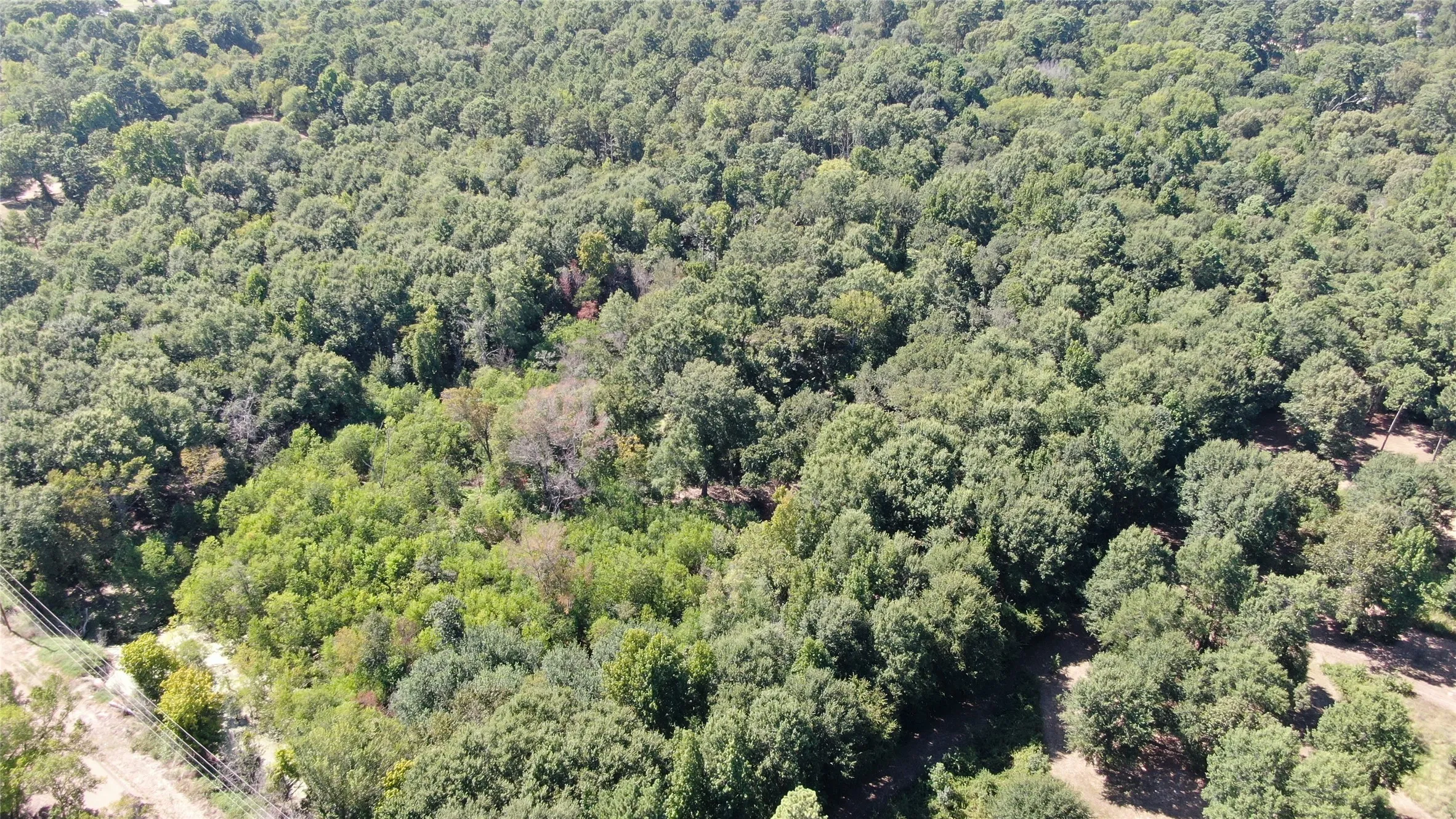 Unimproved Land For Sale in Henderson County , 0 Big Eddy Road, Chandler, Texas 75758, 0, 0, Garage spaces, 0 Sqft, built in 0, mls#21353268, Real Estate Agent in Chandler, Homes For Sale in Henderson county, Homes For Sale in Chandler, Realtor in Chandler Texas, Real Estate Brokerage Independent Realty Texas, Luminita Cordes Realtor