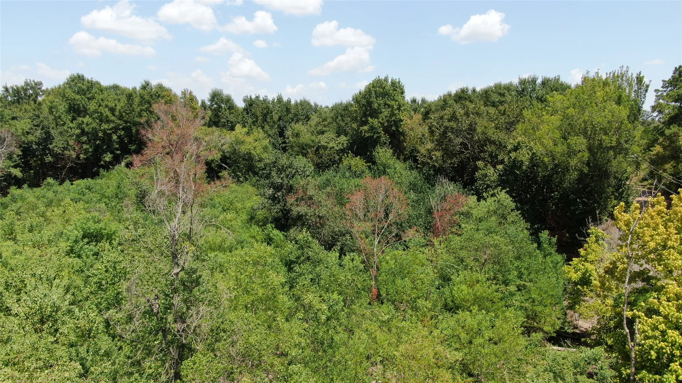 Unimproved Land For Sale in Henderson County , 0 Big Eddy Road, Chandler, Texas 75758, 0, 0, Garage spaces, 0 Sqft, built in 0, mls#21353268, Real Estate Agent in Chandler, Homes For Sale in Henderson county, Homes For Sale in Chandler, Realtor in Chandler Texas, Real Estate Brokerage Independent Realty Texas, Luminita Cordes Realtor