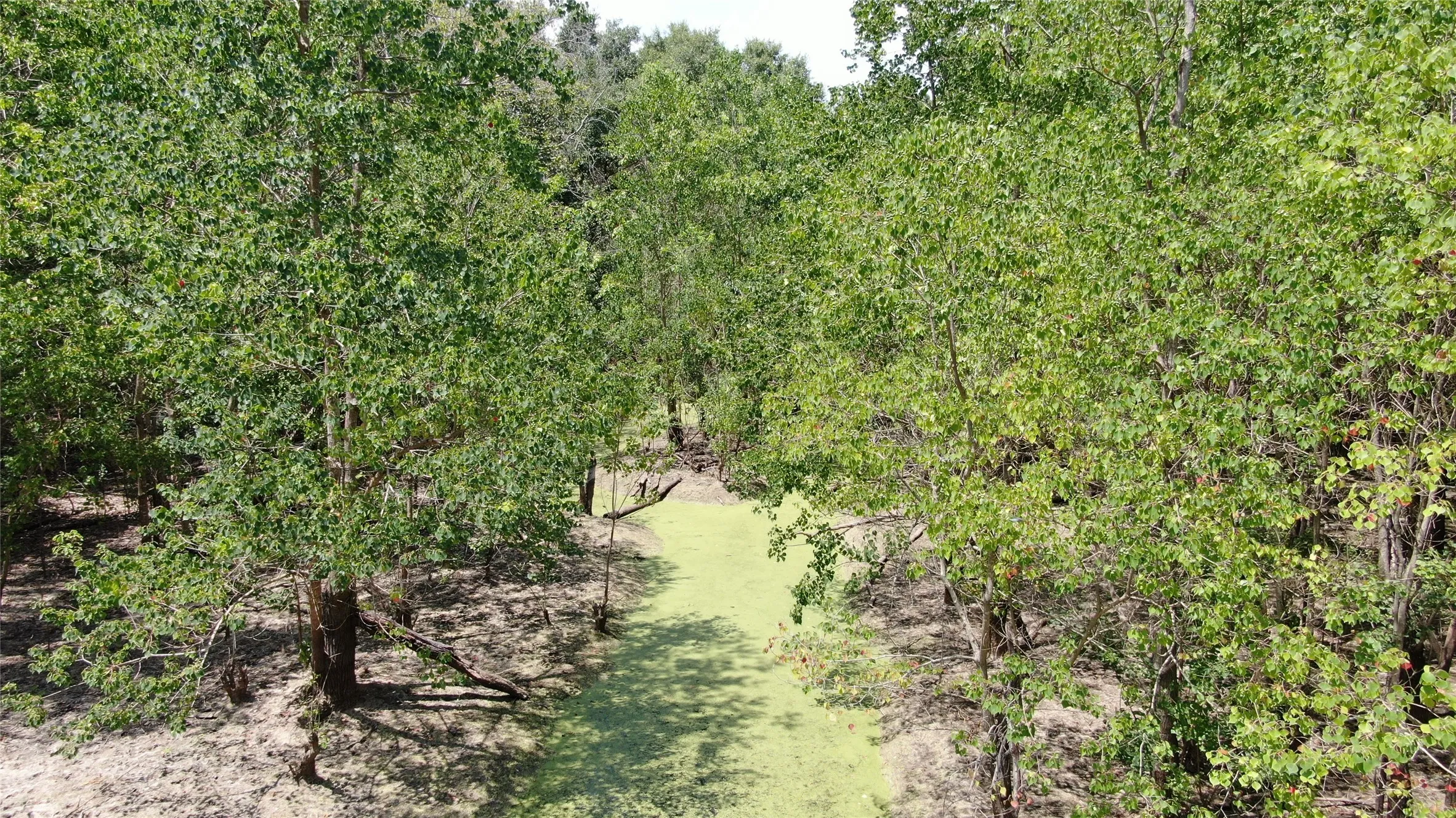 Unimproved Land For Sale in Henderson County , 0 Big Eddy Road, Chandler, Texas 75758, 0, 0, Garage spaces, 0 Sqft, built in 0, mls#21353268, Real Estate Agent in Chandler, Homes For Sale in Henderson county, Homes For Sale in Chandler, Realtor in Chandler Texas, Real Estate Brokerage Independent Realty Texas, Luminita Cordes Realtor