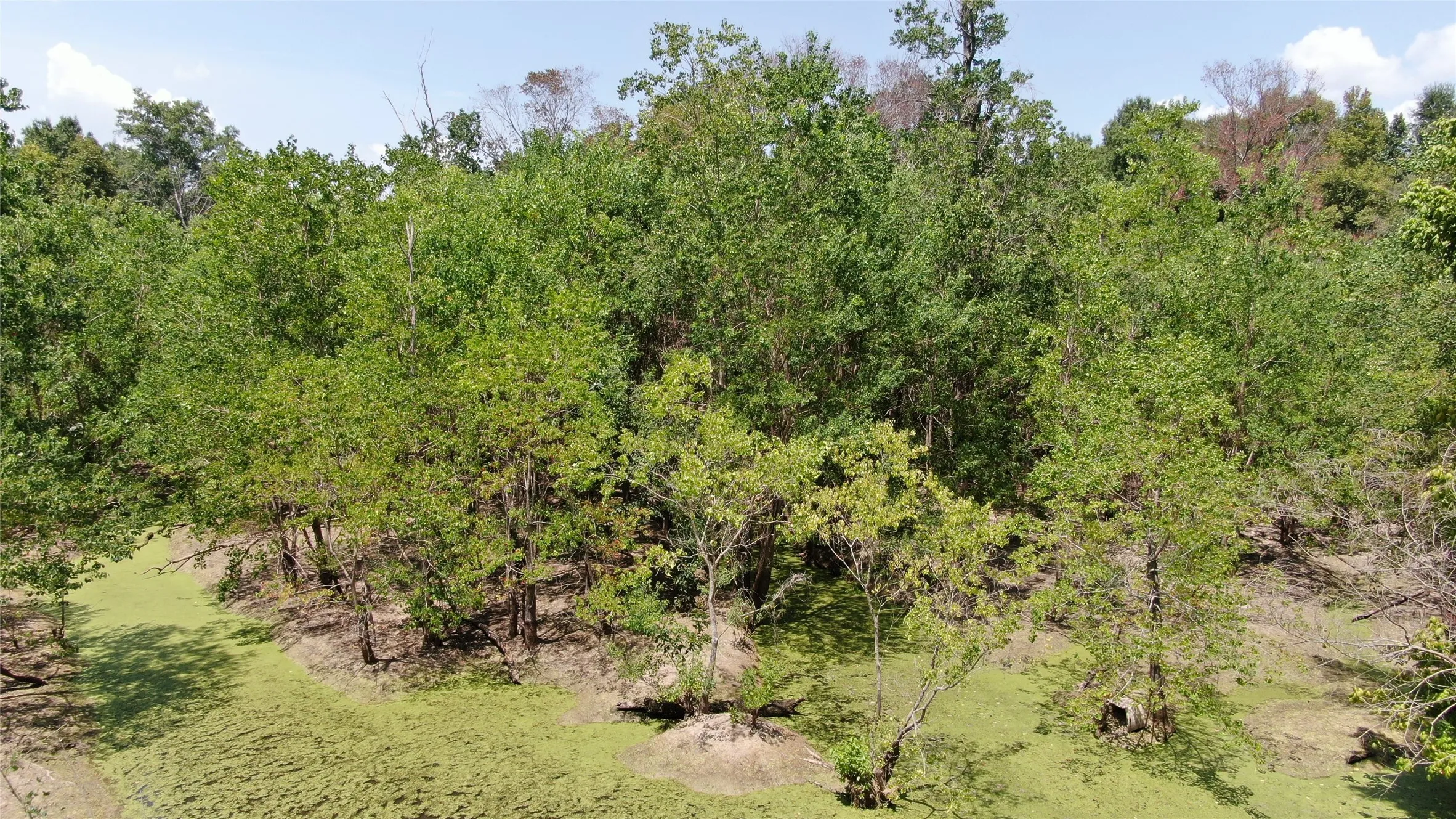 Unimproved Land For Sale in Henderson County , 0 Big Eddy Road, Chandler, Texas 75758, 0, 0, Garage spaces, 0 Sqft, built in 0, mls#21353268, Real Estate Agent in Chandler, Homes For Sale in Henderson county, Homes For Sale in Chandler, Realtor in Chandler Texas, Real Estate Brokerage Independent Realty Texas, Luminita Cordes Realtor