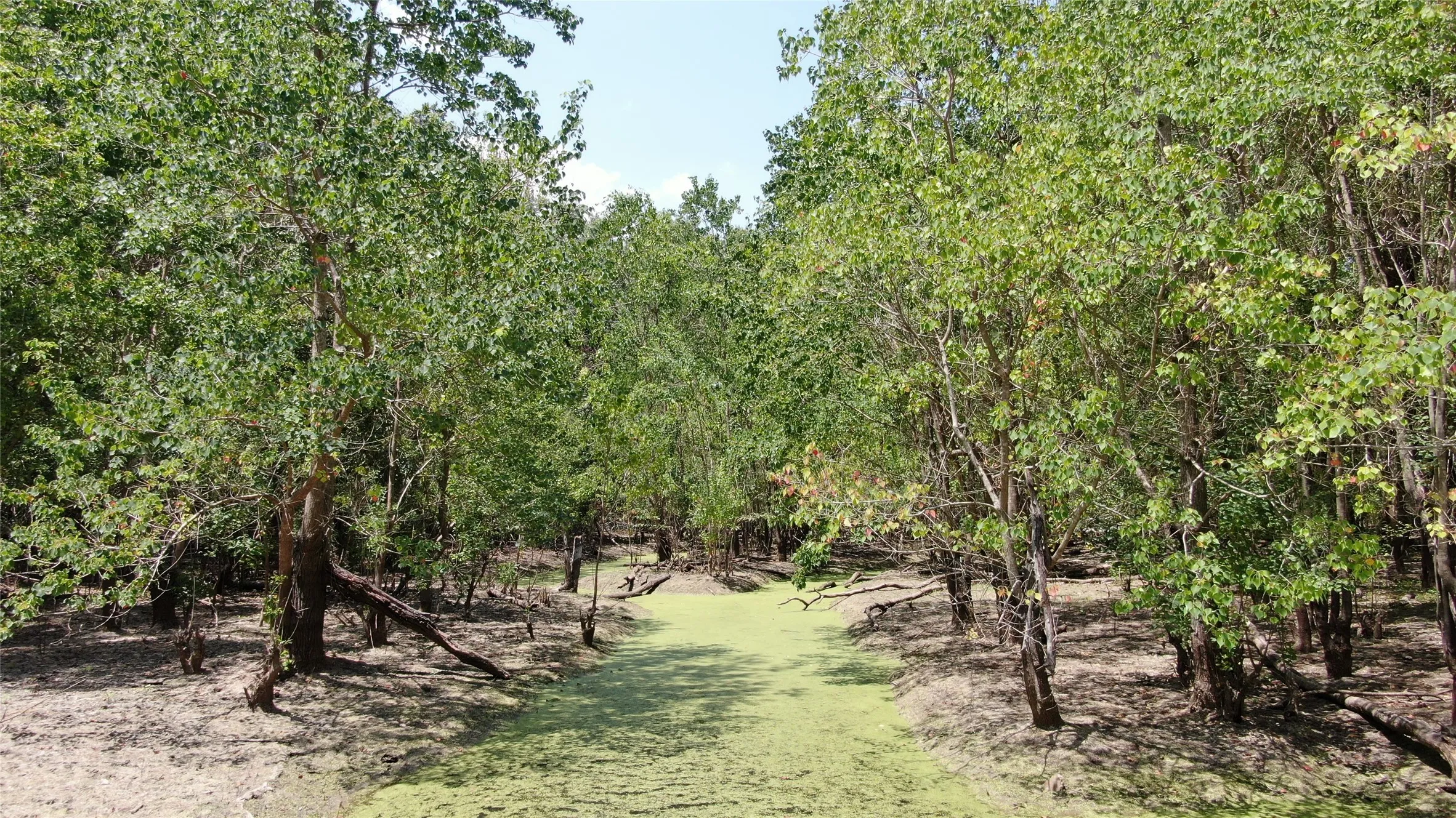 Unimproved Land For Sale in Henderson County , 0 Big Eddy Road, Chandler, Texas 75758, 0, 0, Garage spaces, 0 Sqft, built in 0, mls#21353268, Real Estate Agent in Chandler, Homes For Sale in Henderson county, Homes For Sale in Chandler, Realtor in Chandler Texas, Real Estate Brokerage Independent Realty Texas, Luminita Cordes Realtor