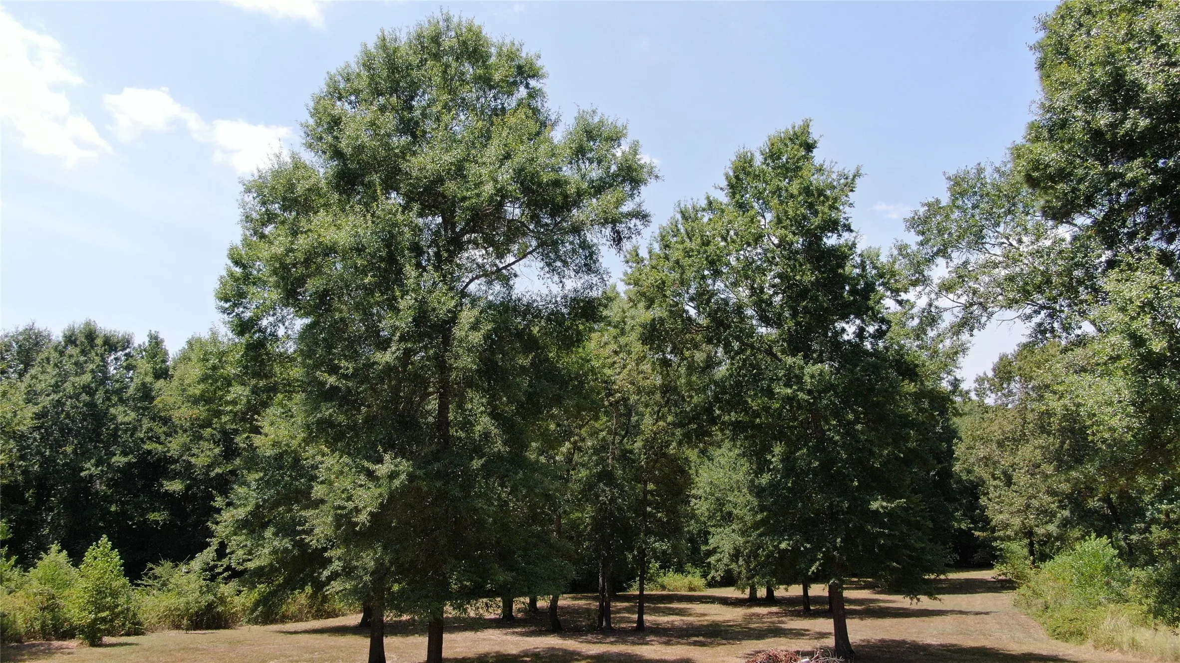Unimproved Land For Sale in Henderson County , 0 Big Eddy Road, Chandler, Texas 75758, 0, 0, Garage spaces, 0 Sqft, built in 0, mls#21353268, Real Estate Agent in Chandler, Homes For Sale in Henderson county, Homes For Sale in Chandler, Realtor in Chandler Texas, Real Estate Brokerage Independent Realty Texas, Luminita Cordes Realtor