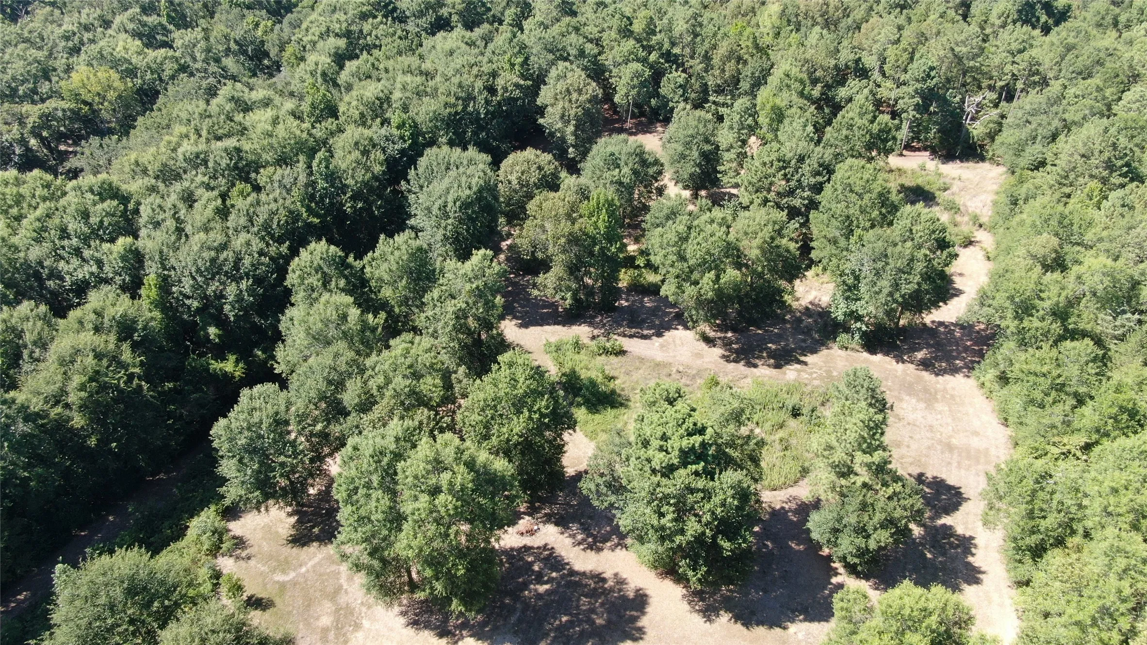 Unimproved Land For Sale in Henderson County , 0 Big Eddy Road, Chandler, Texas 75758, 0, 0, Garage spaces, 0 Sqft, built in 0, mls#21353268, Real Estate Agent in Chandler, Homes For Sale in Henderson county, Homes For Sale in Chandler, Realtor in Chandler Texas, Real Estate Brokerage Independent Realty Texas, Luminita Cordes Realtor
