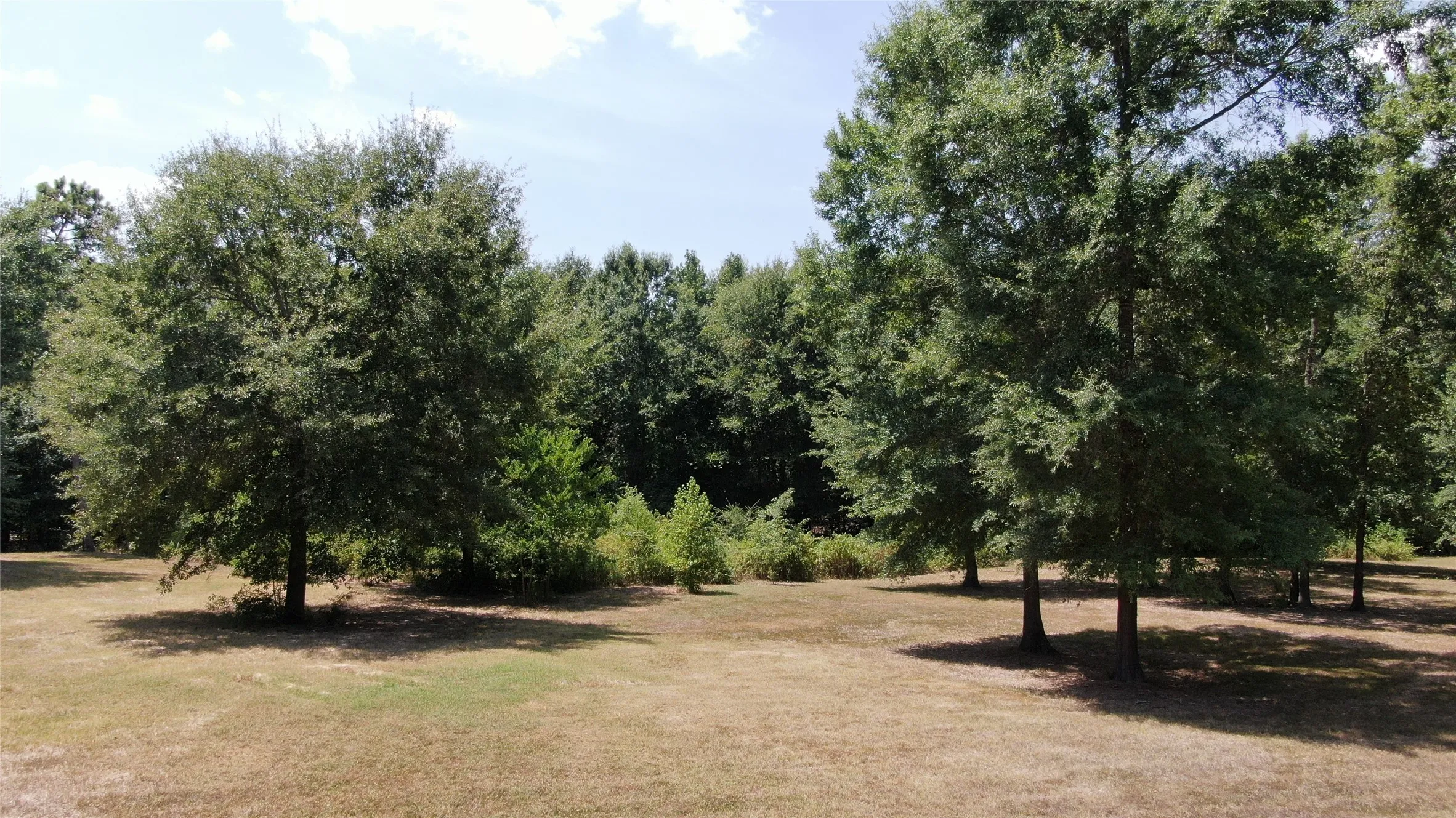 Unimproved Land For Sale in Henderson County , 0 Big Eddy Road, Chandler, Texas 75758, 0, 0, Garage spaces, 0 Sqft, built in 0, mls#21353268, Real Estate Agent in Chandler, Homes For Sale in Henderson county, Homes For Sale in Chandler, Realtor in Chandler Texas, Real Estate Brokerage Independent Realty Texas, Luminita Cordes Realtor