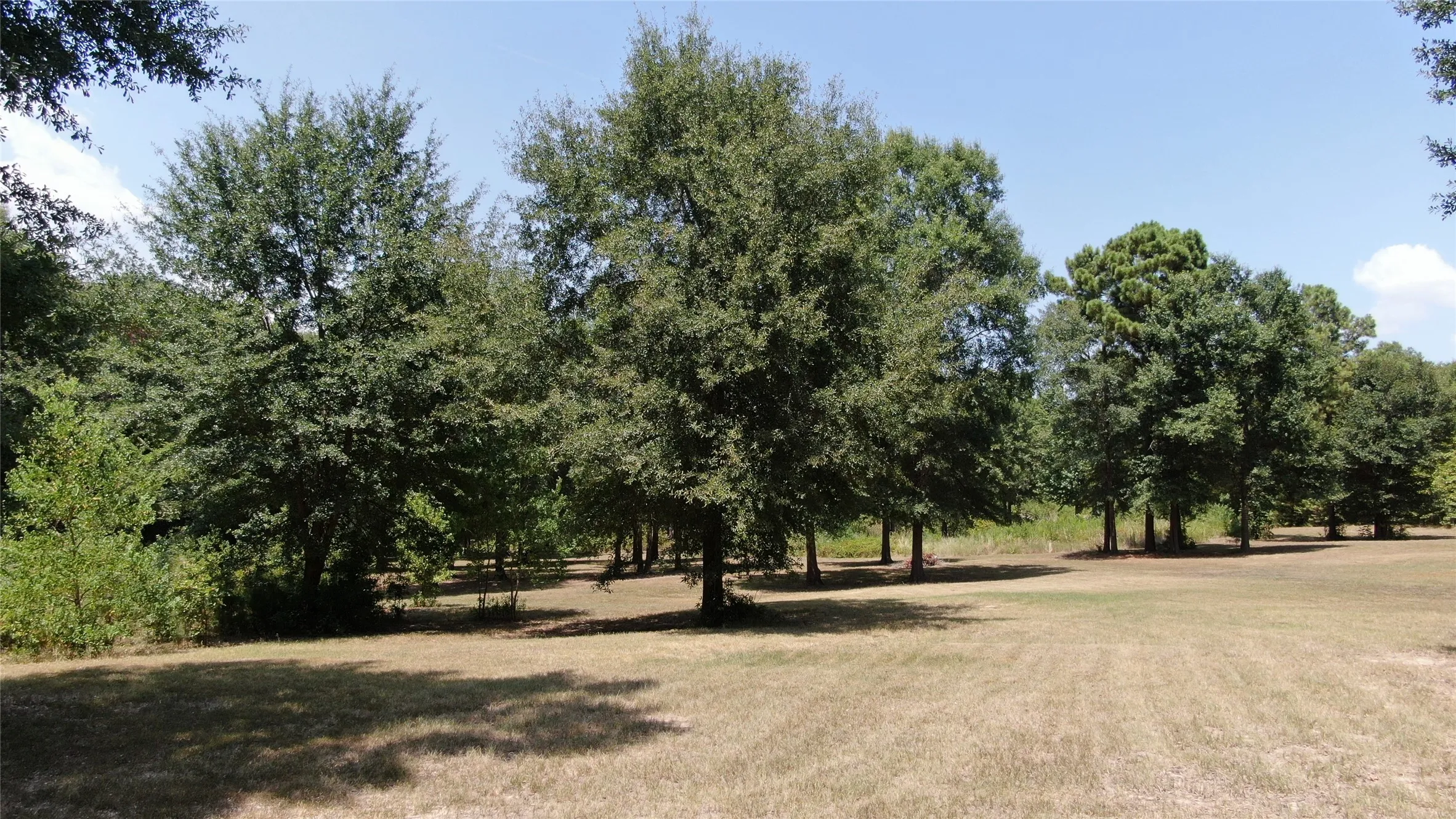 Unimproved Land For Sale in Henderson County , 0 Big Eddy Road, Chandler, Texas 75758, 0, 0, Garage spaces, 0 Sqft, built in 0, mls#21353268, Real Estate Agent in Chandler, Homes For Sale in Henderson county, Homes For Sale in Chandler, Realtor in Chandler Texas, Real Estate Brokerage Independent Realty Texas, Luminita Cordes Realtor