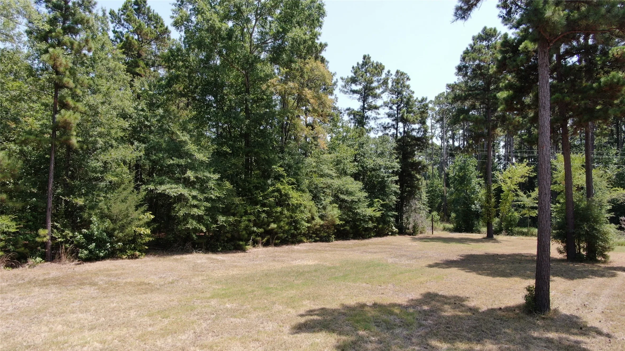 Unimproved Land For Sale in Henderson County , 0 Big Eddy Road, Chandler, Texas 75758, 0, 0, Garage spaces, 0 Sqft, built in 0, mls#21353268, Real Estate Agent in Chandler, Homes For Sale in Henderson county, Homes For Sale in Chandler, Realtor in Chandler Texas, Real Estate Brokerage Independent Realty Texas, Luminita Cordes Realtor