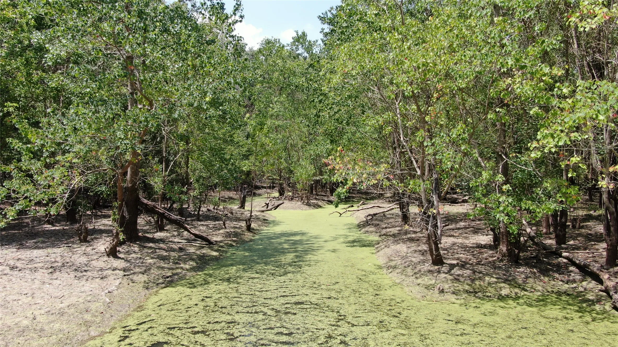 Unimproved Land For Sale in Henderson County , 0 Big Eddy Road, Chandler, Texas 75758, 0, 0, Garage spaces, 0 Sqft, built in 0, mls#21353268, Real Estate Agent in Chandler, Homes For Sale in Henderson county, Homes For Sale in Chandler, Realtor in Chandler Texas, Real Estate Brokerage Independent Realty Texas, Luminita Cordes Realtor