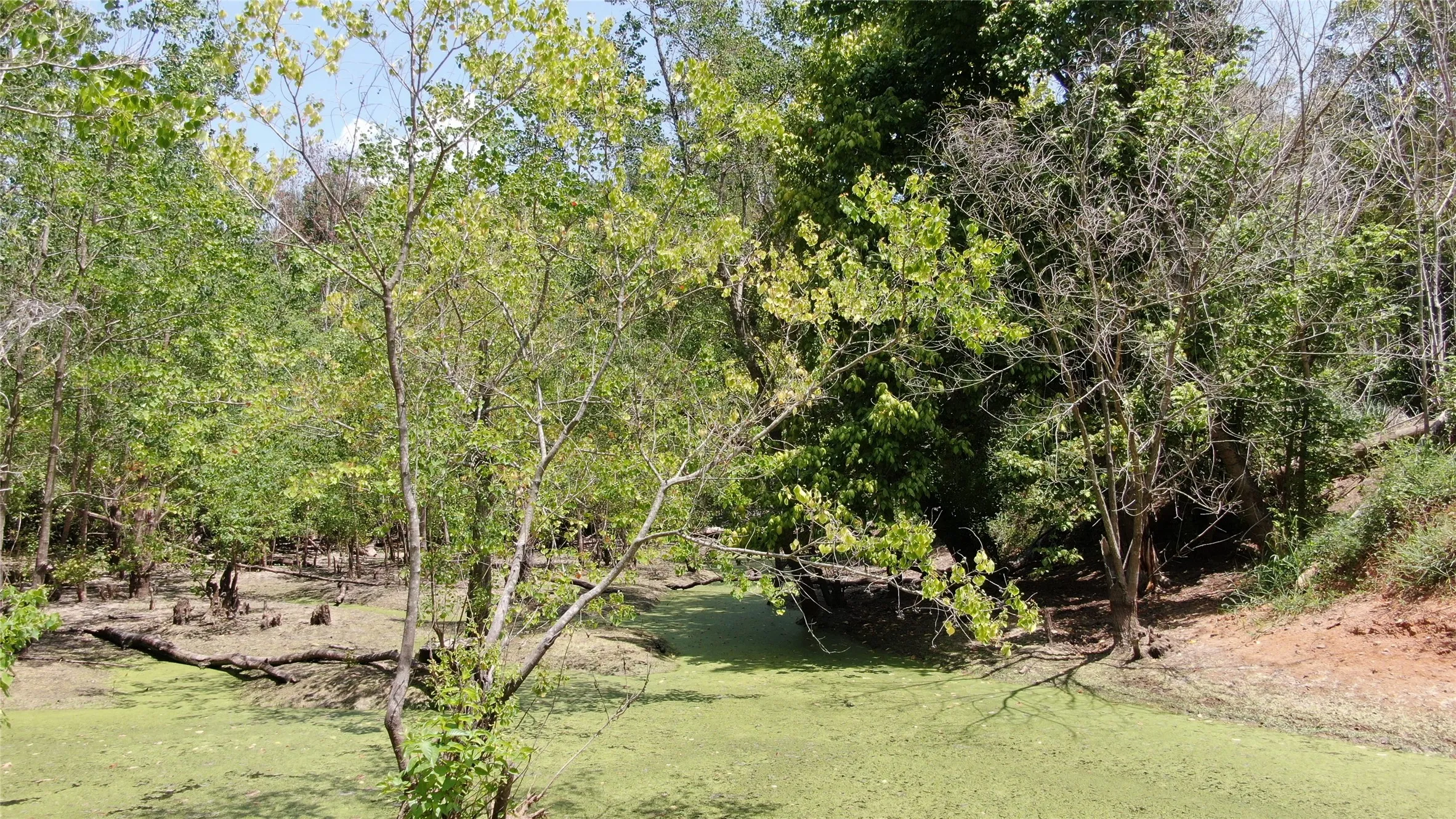Unimproved Land For Sale in Henderson County , 0 Big Eddy Road, Chandler, Texas 75758, 0, 0, Garage spaces, 0 Sqft, built in 0, mls#21353268, Real Estate Agent in Chandler, Homes For Sale in Henderson county, Homes For Sale in Chandler, Realtor in Chandler Texas, Real Estate Brokerage Independent Realty Texas, Luminita Cordes Realtor