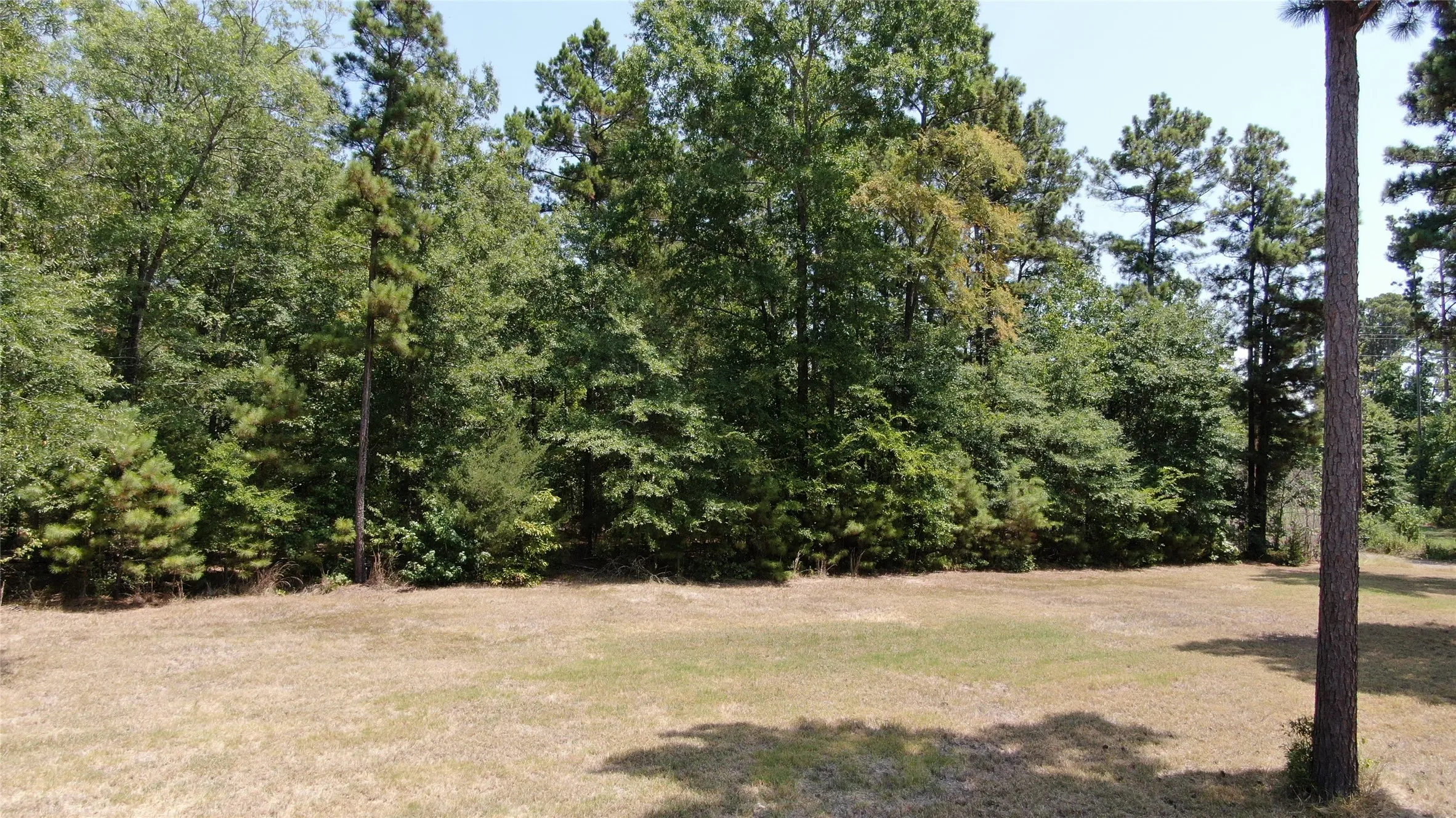 Unimproved Land For Sale in Henderson County , 0 Big Eddy Road, Chandler, Texas 75758, 0, 0, Garage spaces, 0 Sqft, built in 0, mls#21353268, Real Estate Agent in Chandler, Homes For Sale in Henderson county, Homes For Sale in Chandler, Realtor in Chandler Texas, Real Estate Brokerage Independent Realty Texas, Luminita Cordes Realtor