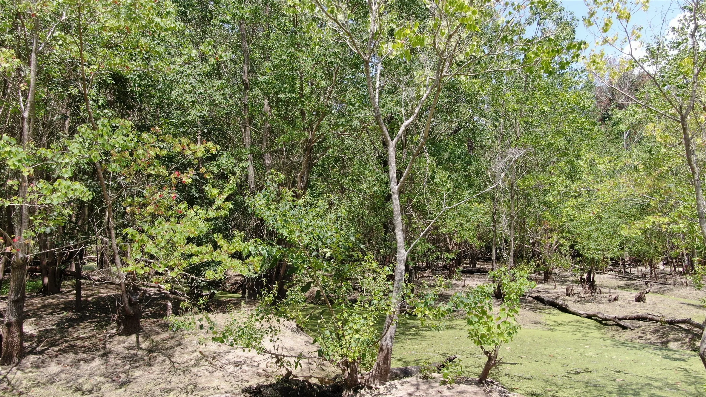Unimproved Land For Sale in Henderson County , 0 Big Eddy Road, Chandler, Texas 75758, 0, 0, Garage spaces, 0 Sqft, built in 0, mls#21353268, Real Estate Agent in Chandler, Homes For Sale in Henderson county, Homes For Sale in Chandler, Realtor in Chandler Texas, Real Estate Brokerage Independent Realty Texas, Luminita Cordes Realtor