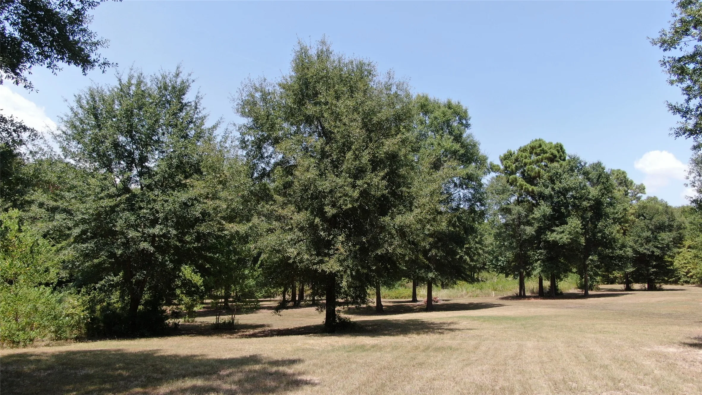 Unimproved Land For Sale in Henderson County , 0 Big Eddy Road, Chandler, Texas 75758, 0, 0, Garage spaces, 0 Sqft, built in 0, mls#21353268, Real Estate Agent in Chandler, Homes For Sale in Henderson county, Homes For Sale in Chandler, Realtor in Chandler Texas, Real Estate Brokerage Independent Realty Texas, Luminita Cordes Realtor