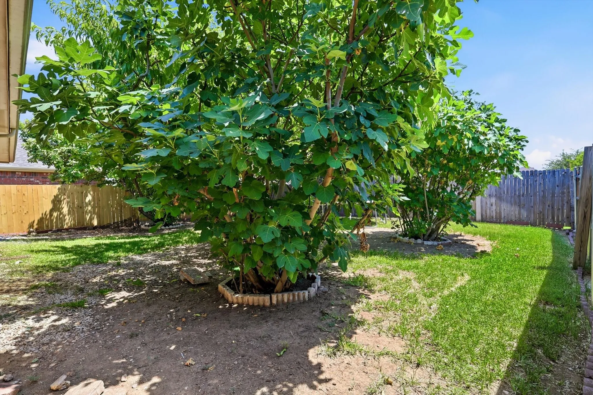Single Family Residence For Rent in Denton County , 2340 Evening Song Drive, Little Elm, Texas 75068, 3 Bedrooms, 2 Bathrooms, 2 Garage spaces, 1,525 Sqft, built in 2005, Price $2,000, mls#21352309, Real Estate Agent in Little Elm, Homes For Rent in Denton county, Homes For Rent in Little Elm, Realtor in Little Elm Texas, Real Estate Brokerage Independent Realty Texas, Luminita Cordes Realtor