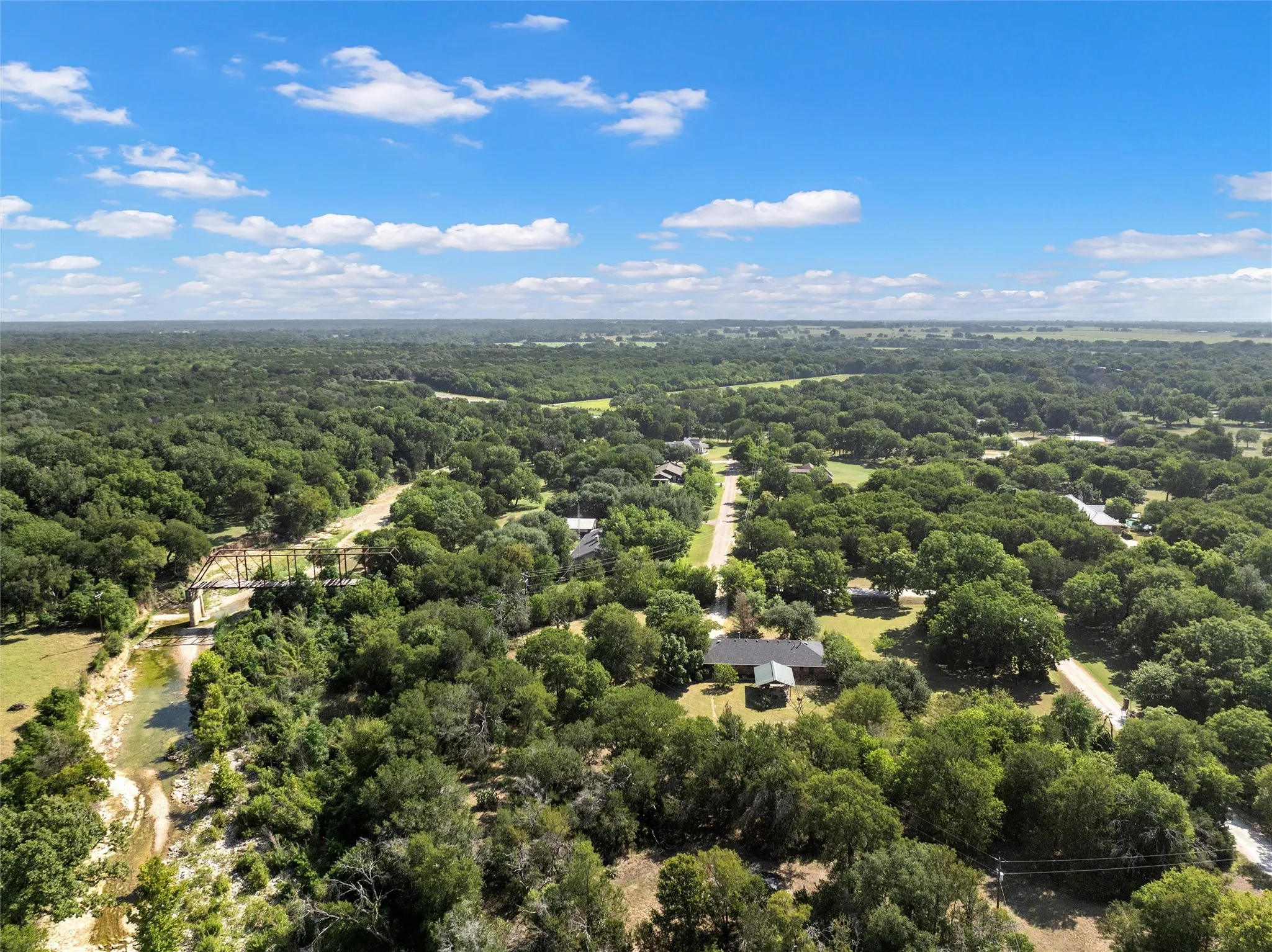 Expansive tree canopy with a visible water feature and a bridge structure