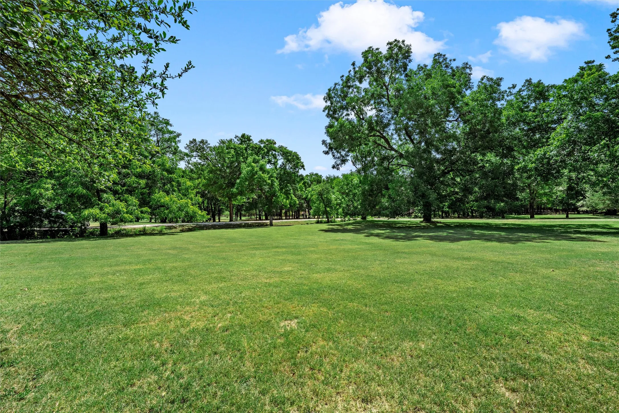 Expansive green lawn with mature trees and natural landscaping