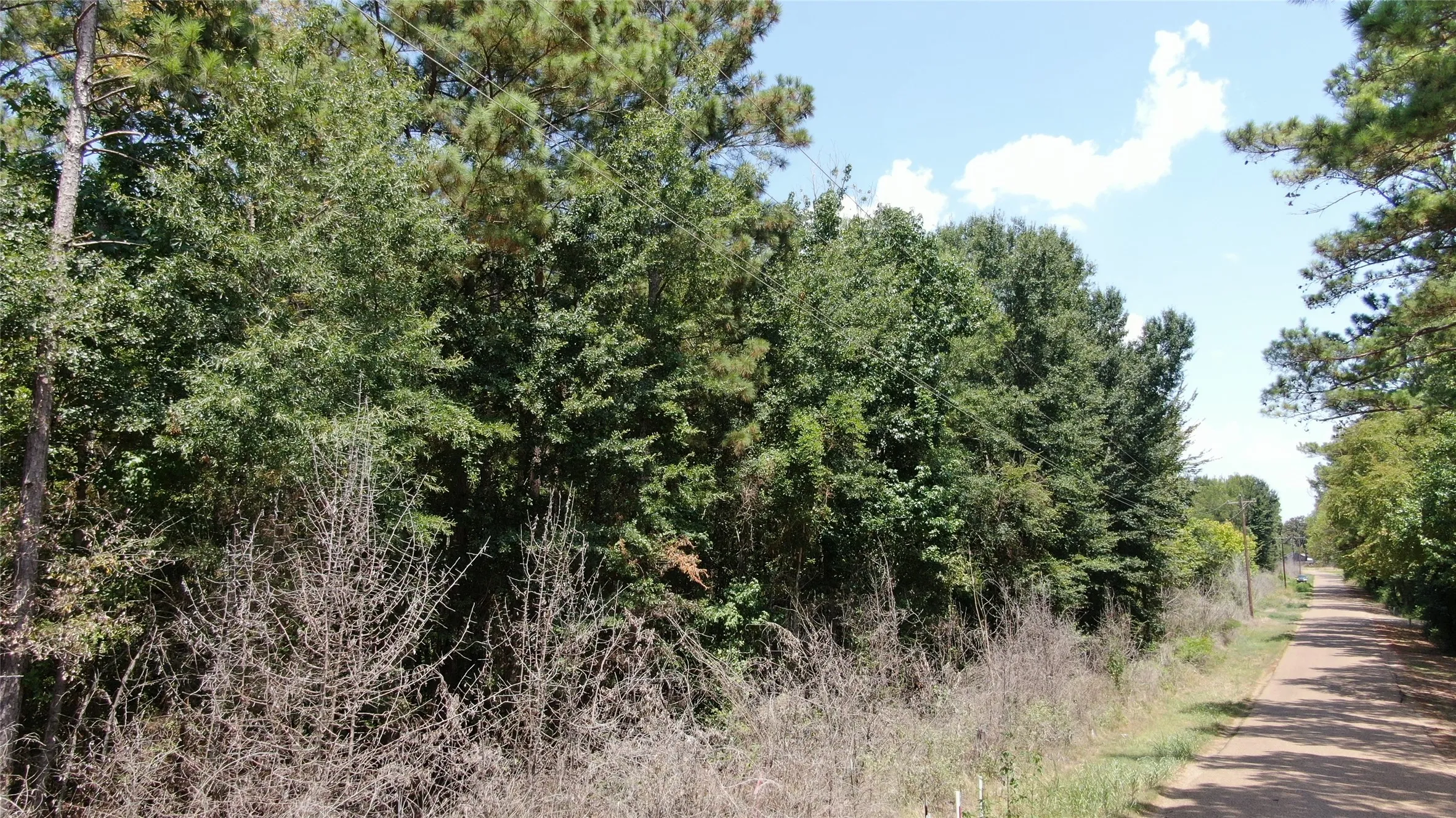 Unimproved Land For Sale in Henderson County , 00 Big Eddy Road, Chandler, Texas 75758, 0, 0, Garage spaces, 0 Sqft, built in 0, mls#21353278, Real Estate Agent in Chandler, Homes For Sale in Henderson county, Homes For Sale in Chandler, Realtor in Chandler Texas, Real Estate Brokerage Independent Realty Texas, Luminita Cordes Realtor