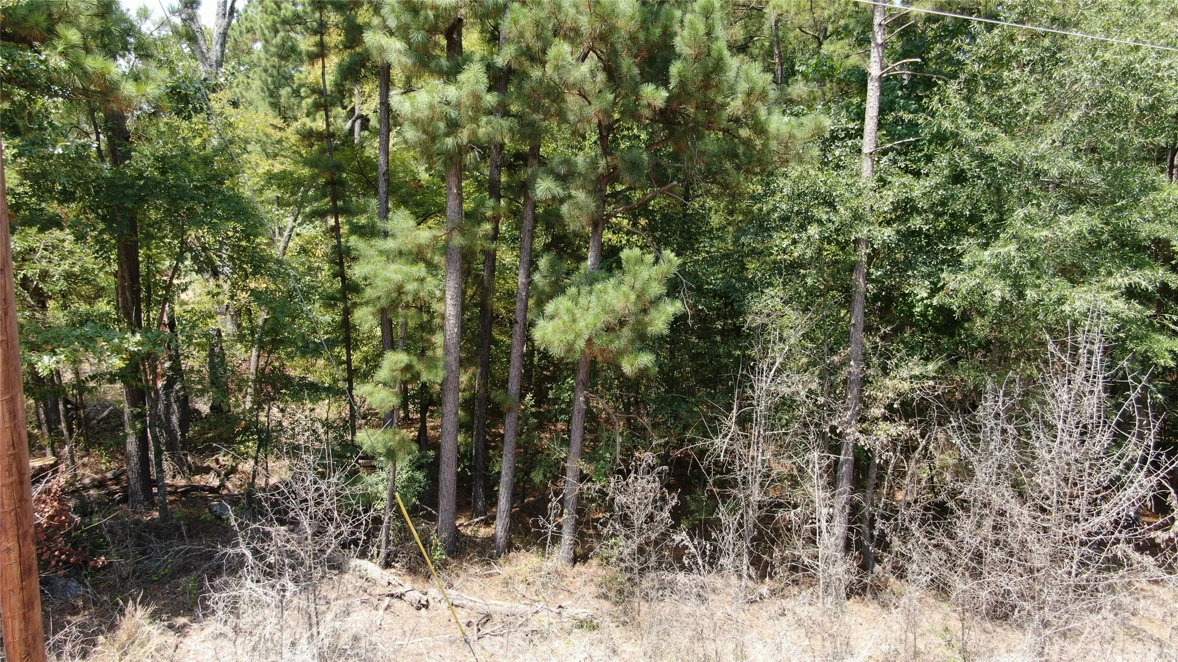 Unimproved Land For Sale in Henderson County , 00 Big Eddy Road, Chandler, Texas 75758, 0, 0, Garage spaces, 0 Sqft, built in 0, mls#21353278, Real Estate Agent in Chandler, Homes For Sale in Henderson county, Homes For Sale in Chandler, Realtor in Chandler Texas, Real Estate Brokerage Independent Realty Texas, Luminita Cordes Realtor