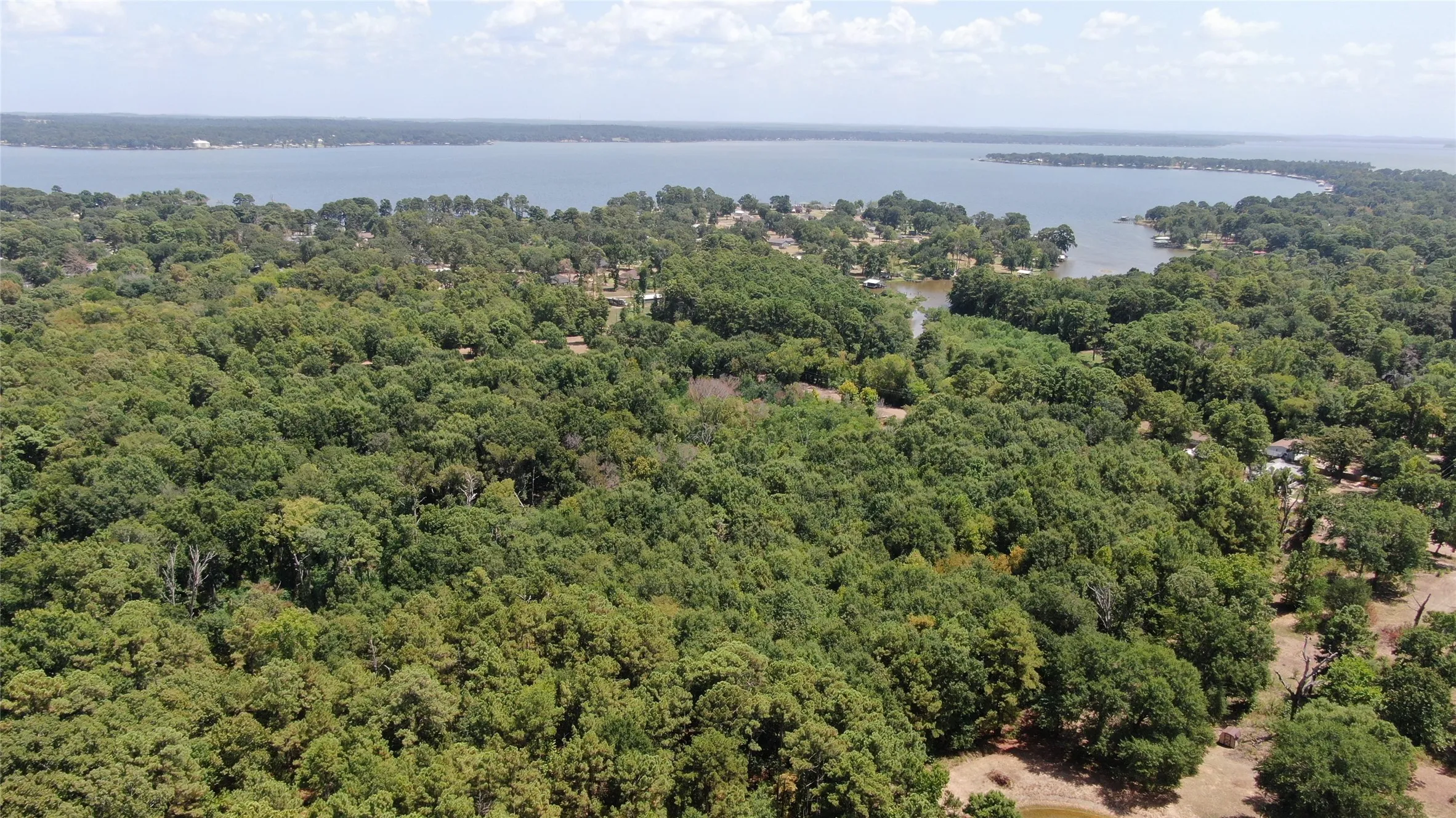 Unimproved Land For Sale in Henderson County , 00 Big Eddy Road, Chandler, Texas 75758, 0, 0, Garage spaces, 0 Sqft, built in 0, mls#21353278, Real Estate Agent in Chandler, Homes For Sale in Henderson county, Homes For Sale in Chandler, Realtor in Chandler Texas, Real Estate Brokerage Independent Realty Texas, Luminita Cordes Realtor