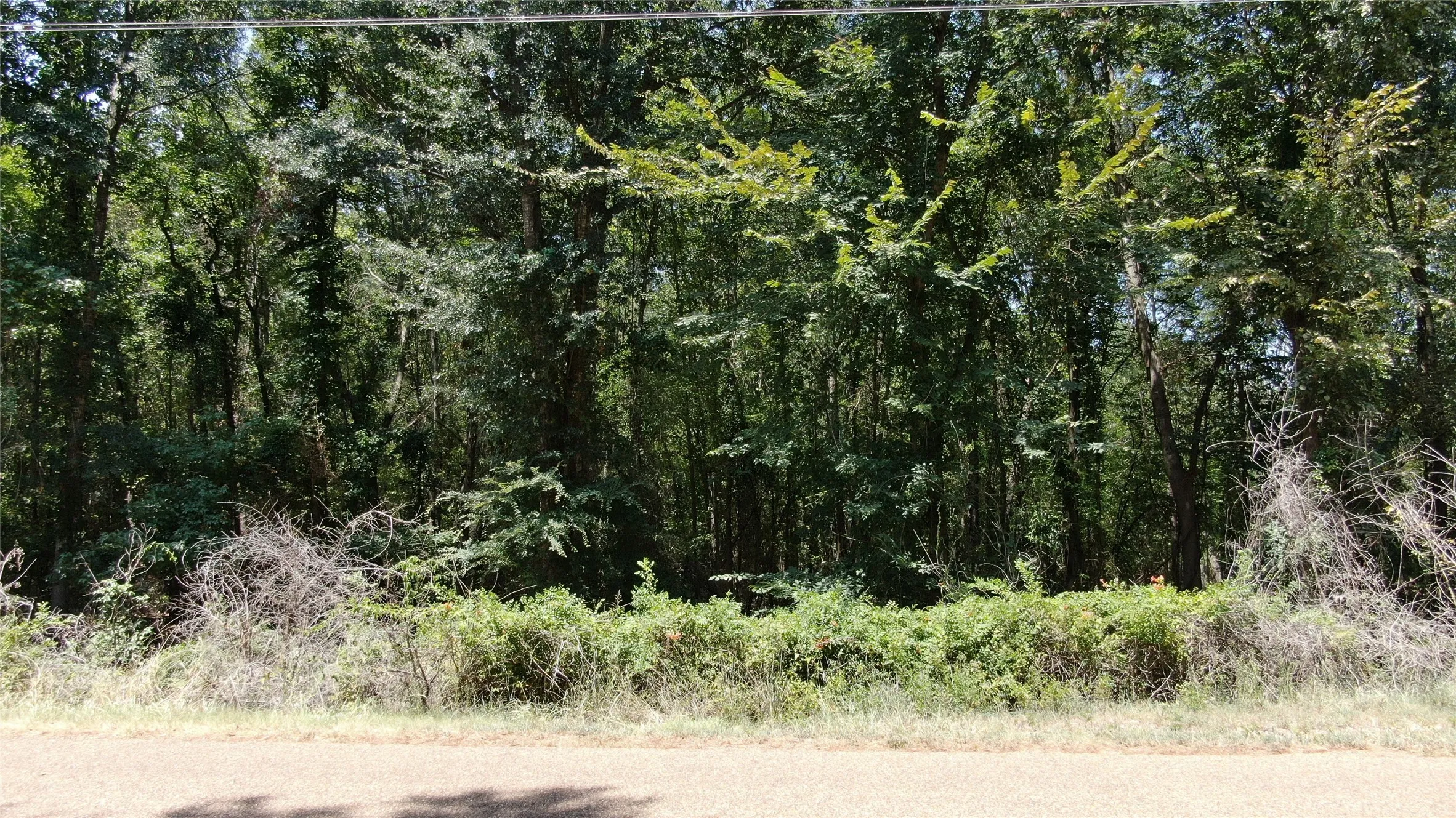 Unimproved Land For Sale in Henderson County , 00 Big Eddy Road, Chandler, Texas 75758, 0, 0, Garage spaces, 0 Sqft, built in 0, mls#21353278, Real Estate Agent in Chandler, Homes For Sale in Henderson county, Homes For Sale in Chandler, Realtor in Chandler Texas, Real Estate Brokerage Independent Realty Texas, Luminita Cordes Realtor