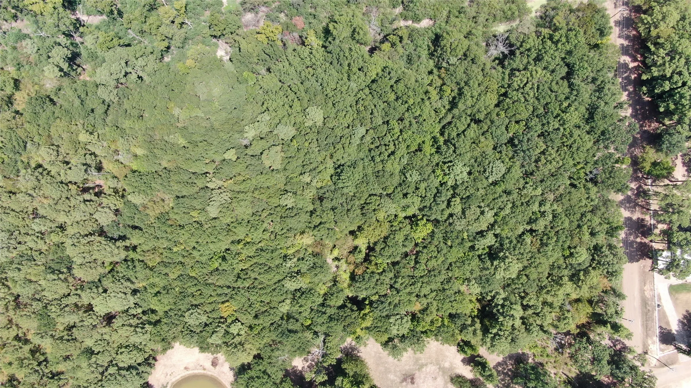 Unimproved Land For Sale in Henderson County , 00 Big Eddy Road, Chandler, Texas 75758, 0, 0, Garage spaces, 0 Sqft, built in 0, mls#21353278, Real Estate Agent in Chandler, Homes For Sale in Henderson county, Homes For Sale in Chandler, Realtor in Chandler Texas, Real Estate Brokerage Independent Realty Texas, Luminita Cordes Realtor