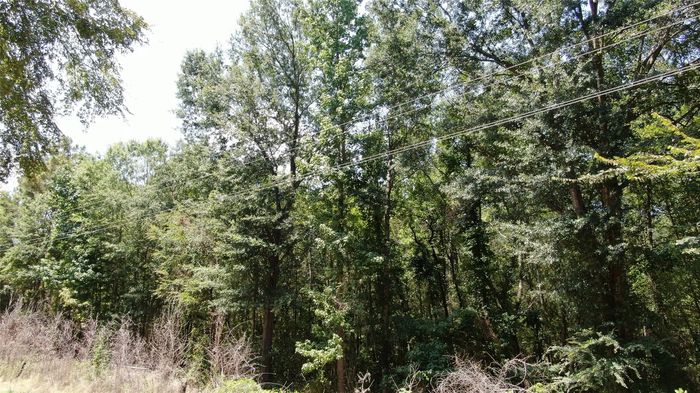 Unimproved Land For Sale in Henderson County , 00 Big Eddy Road, Chandler, Texas 75758, 0, 0, Garage spaces, 0 Sqft, built in 0, mls#21353278, Real Estate Agent in Chandler, Homes For Sale in Henderson county, Homes For Sale in Chandler, Realtor in Chandler Texas, Real Estate Brokerage Independent Realty Texas, Luminita Cordes Realtor