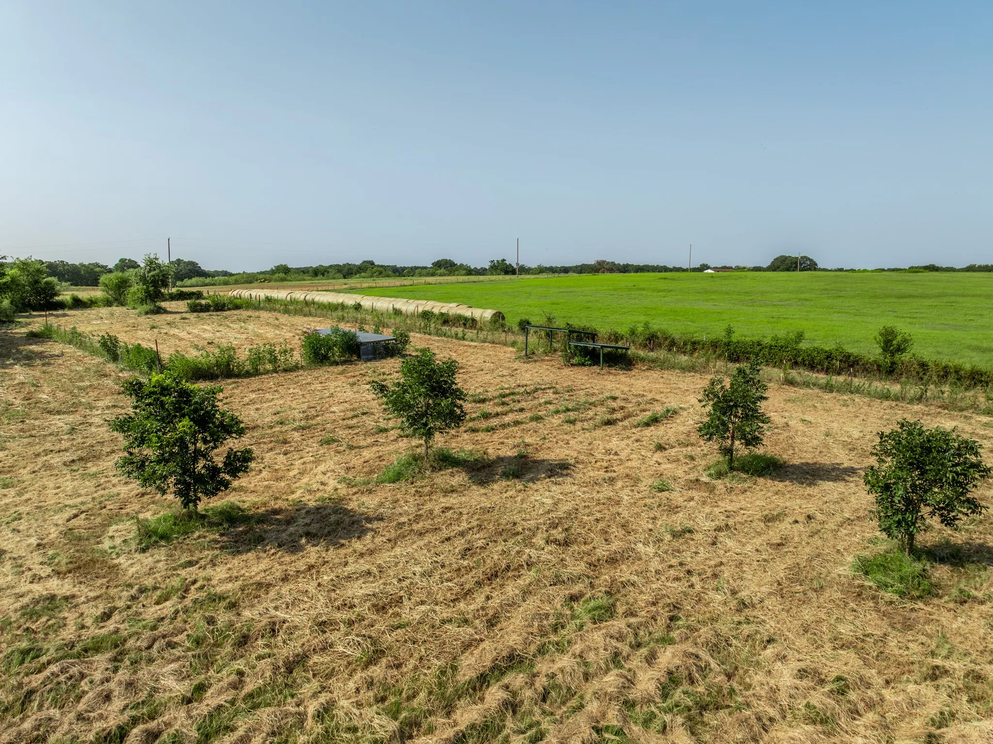 Unimproved Land For Sale in Hill County , TBD Hcr 1414, Blum, Texas 76627, 0, 0, Garage spaces, 0 Sqft, built in 0, Price $89,000, mls#21351970, Real Estate Agent in Blum, Homes For Sale in Hill county, Homes For Sale in Blum, Realtor in Blum Texas, Real Estate Brokerage Independent Realty Texas, Luminita Cordes Realtor