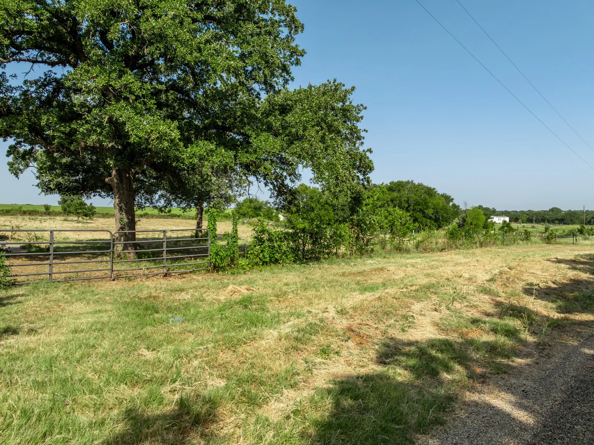 Unimproved Land For Sale in Hill County , TBD Hcr 1414, Blum, Texas 76627, 0, 0, Garage spaces, 0 Sqft, built in 0, Price $89,000, mls#21351970, Real Estate Agent in Blum, Homes For Sale in Hill county, Homes For Sale in Blum, Realtor in Blum Texas, Real Estate Brokerage Independent Realty Texas, Luminita Cordes Realtor