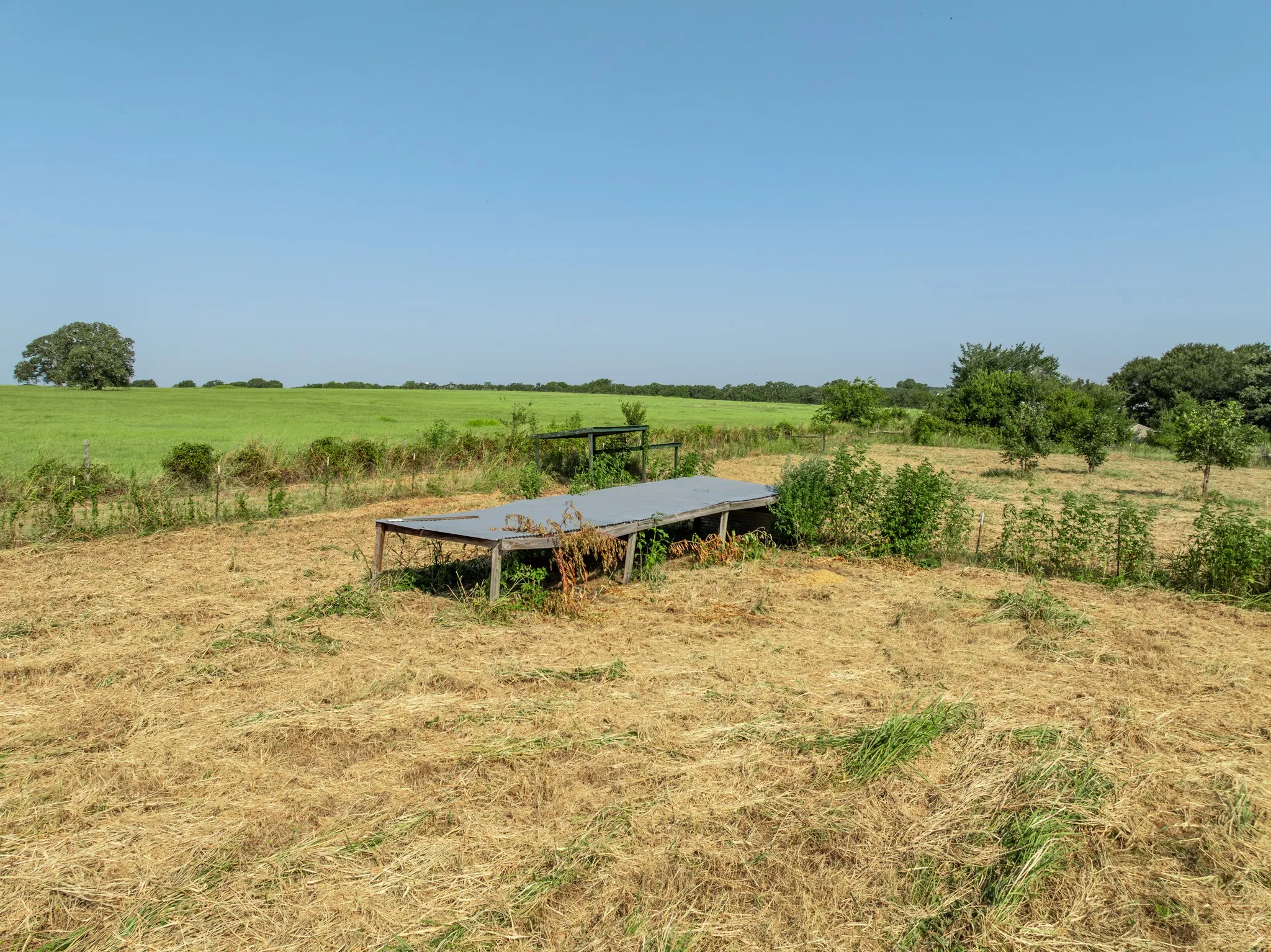 Unimproved Land For Sale in Hill County , TBD Hcr 1414, Blum, Texas 76627, 0, 0, Garage spaces, 0 Sqft, built in 0, Price $89,000, mls#21351970, Real Estate Agent in Blum, Homes For Sale in Hill county, Homes For Sale in Blum, Realtor in Blum Texas, Real Estate Brokerage Independent Realty Texas, Luminita Cordes Realtor