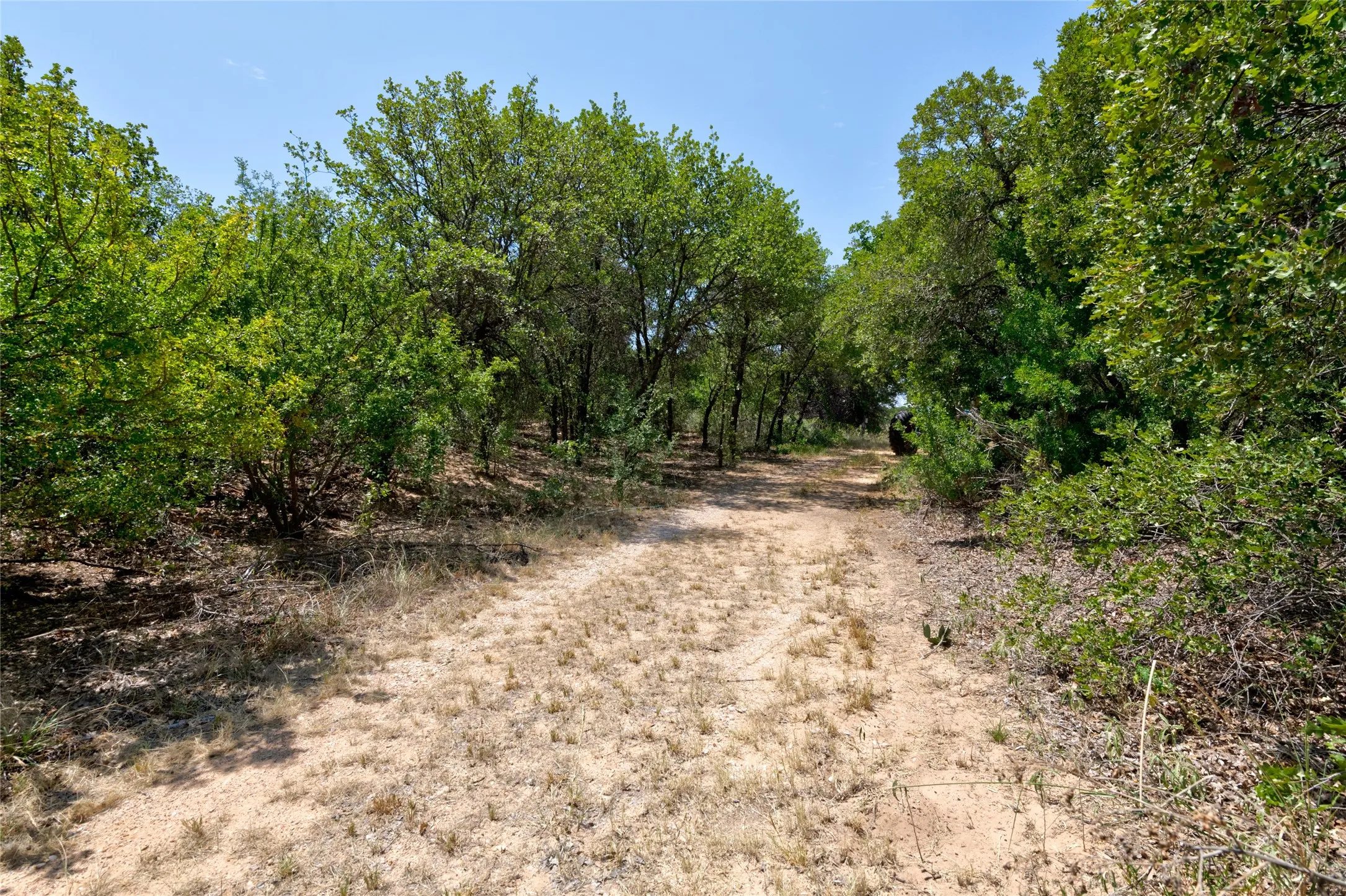 Farm For Sale in Jones County , 9684 FM3326, Hawley, Texas 79525, 3 Bedroom, 2 Bathroom, Garage spaces, 1,958 Sqft, built in 2000, mls#21352799, Real Estate Agent in Hawley, Homes For Sale in Jones county, Homes For Sale in Hawley, Realtor in Hawley Texas, Real Estate Brokerage Independent Realty Texas, Luminita Cordes Realtor