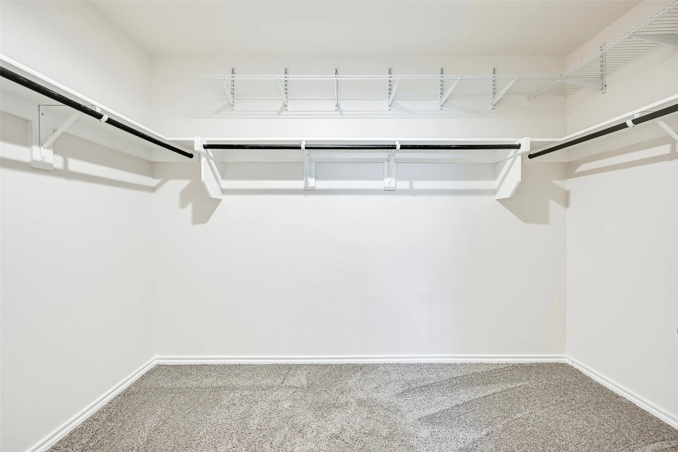 Wall-to-wall carpeting with integrated shelving and hanging rods