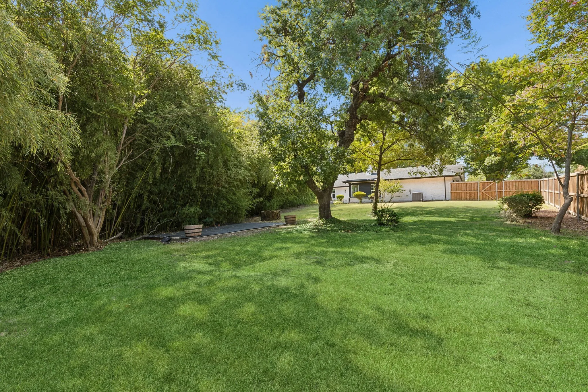 Expansive green lawn with mature trees and dense bamboo landscaping