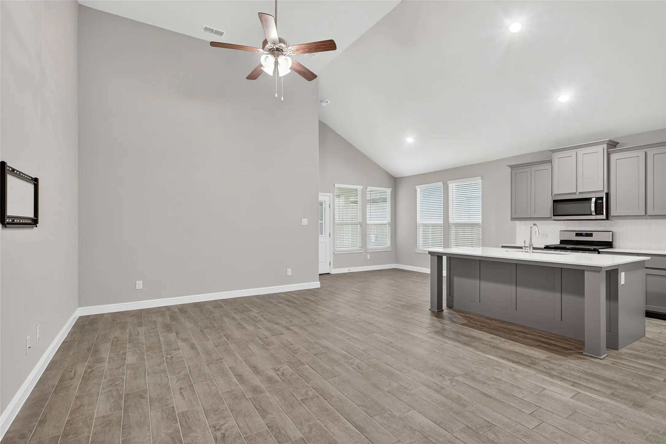Living Area/Kitchen