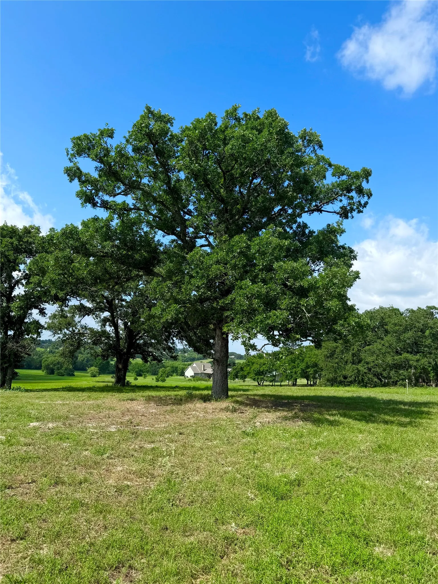Unimproved Land For Sale in Henderson County , 309 Grand View Drive, Athens, Texas 75752, 0, 0, Garage spaces, 0 Sqft, built in 0, Price $195,000, mls#21353302, Real Estate Agent in Athens, Homes For Sale in Henderson county, Homes For Sale in Athens, Realtor in Athens Texas, Real Estate Brokerage Independent Realty Texas, Luminita Cordes Realtor