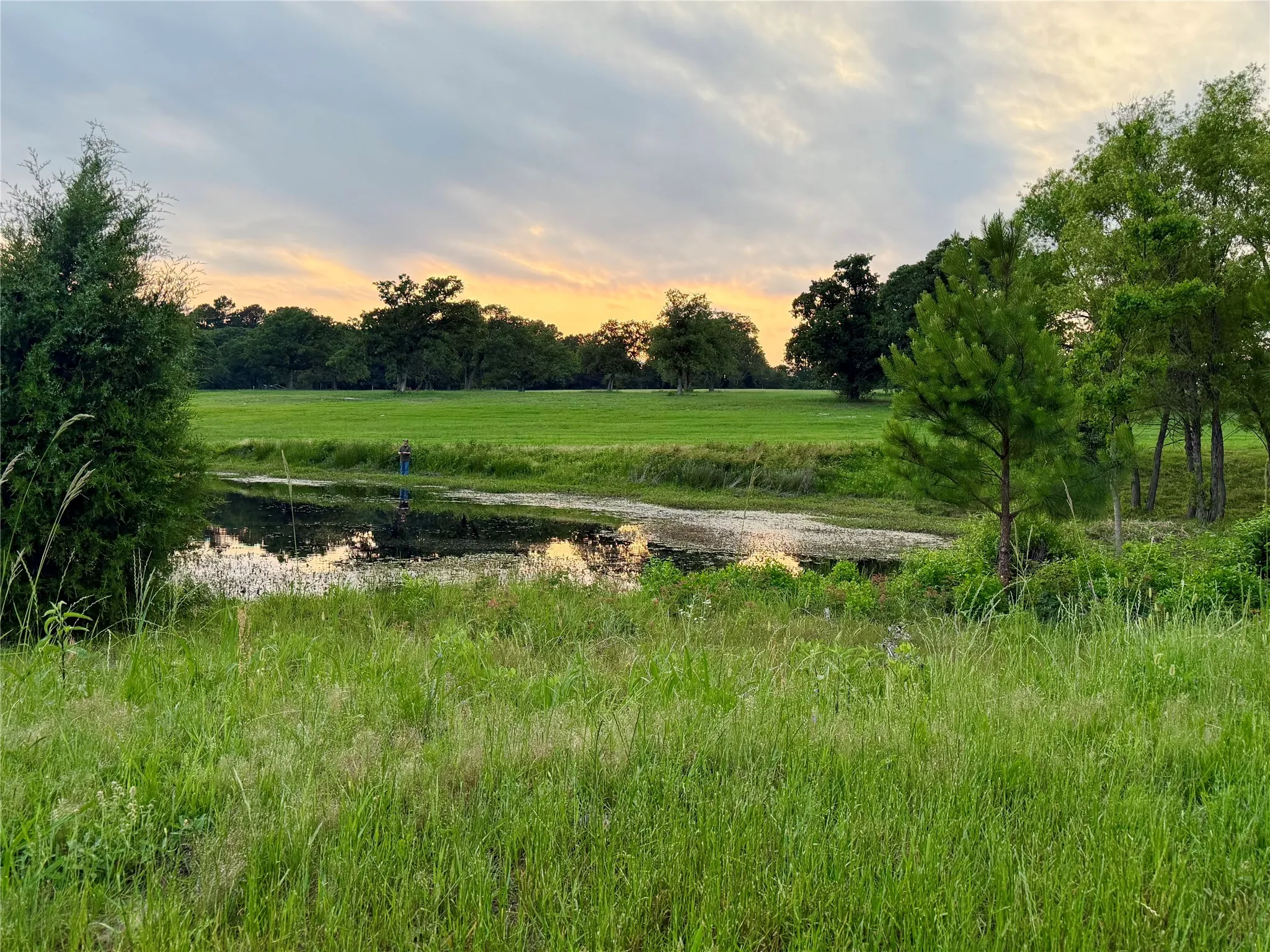 Unimproved Land For Sale in Henderson County , 309 Grand View Drive, Athens, Texas 75752, 0, 0, Garage spaces, 0 Sqft, built in 0, Price $195,000, mls#21353302, Real Estate Agent in Athens, Homes For Sale in Henderson county, Homes For Sale in Athens, Realtor in Athens Texas, Real Estate Brokerage Independent Realty Texas, Luminita Cordes Realtor