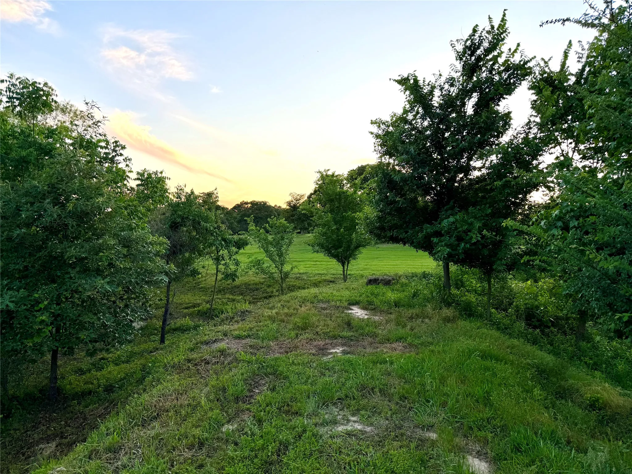 Unimproved Land For Sale in Henderson County , 309 Grand View Drive, Athens, Texas 75752, 0, 0, Garage spaces, 0 Sqft, built in 0, Price $195,000, mls#21353302, Real Estate Agent in Athens, Homes For Sale in Henderson county, Homes For Sale in Athens, Realtor in Athens Texas, Real Estate Brokerage Independent Realty Texas, Luminita Cordes Realtor