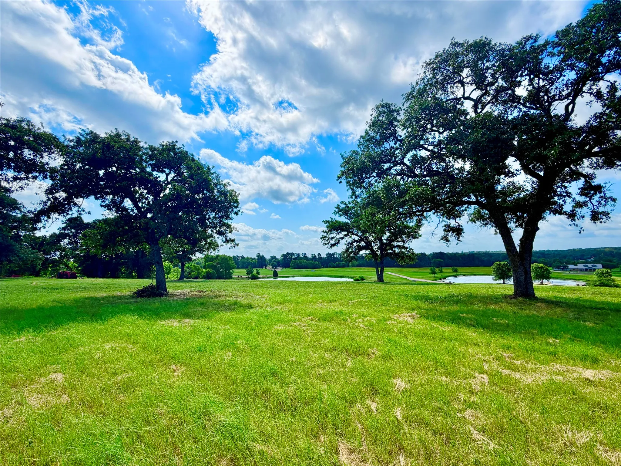 Unimproved Land For Sale in Henderson County , 309 Grand View Drive, Athens, Texas 75752, 0, 0, Garage spaces, 0 Sqft, built in 0, Price $195,000, mls#21353302, Real Estate Agent in Athens, Homes For Sale in Henderson county, Homes For Sale in Athens, Realtor in Athens Texas, Real Estate Brokerage Independent Realty Texas, Luminita Cordes Realtor