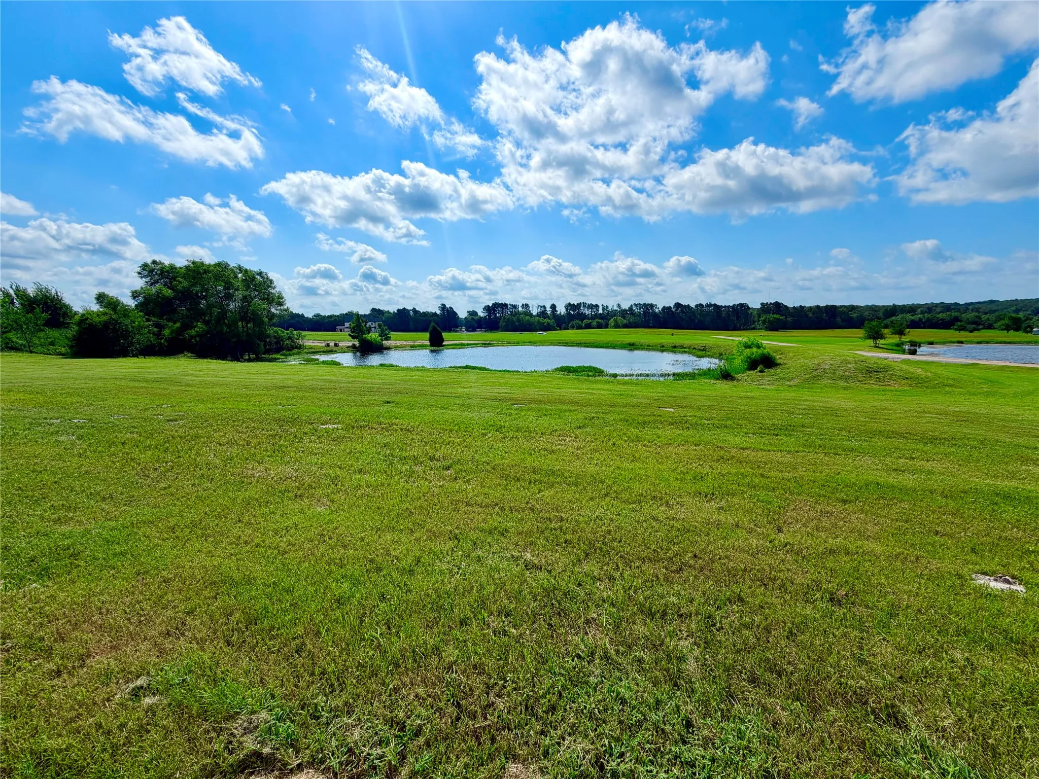 Unimproved Land For Sale in Henderson County , 309 Grand View Drive, Athens, Texas 75752, 0, 0, Garage spaces, 0 Sqft, built in 0, Price $195,000, mls#21353302, Real Estate Agent in Athens, Homes For Sale in Henderson county, Homes For Sale in Athens, Realtor in Athens Texas, Real Estate Brokerage Independent Realty Texas, Luminita Cordes Realtor
