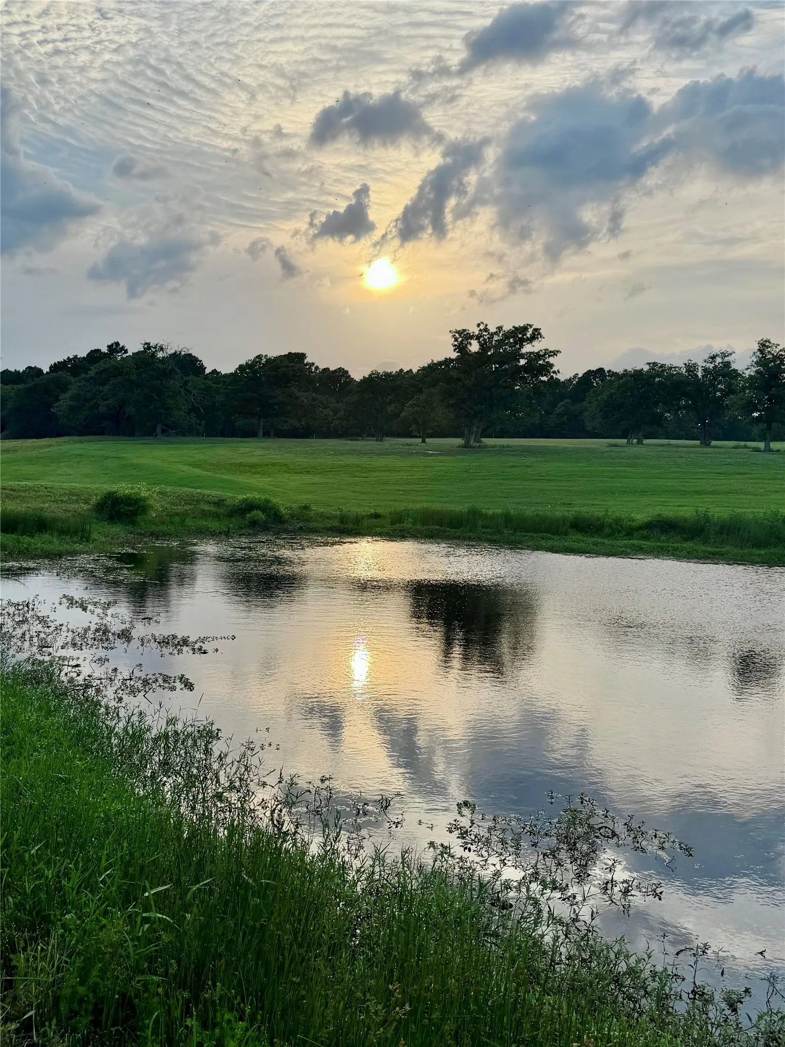 Unimproved Land For Sale in Henderson County , 309 Grand View Drive, Athens, Texas 75752, 0, 0, Garage spaces, 0 Sqft, built in 0, Price $195,000, mls#21353302, Real Estate Agent in Athens, Homes For Sale in Henderson county, Homes For Sale in Athens, Realtor in Athens Texas, Real Estate Brokerage Independent Realty Texas, Luminita Cordes Realtor