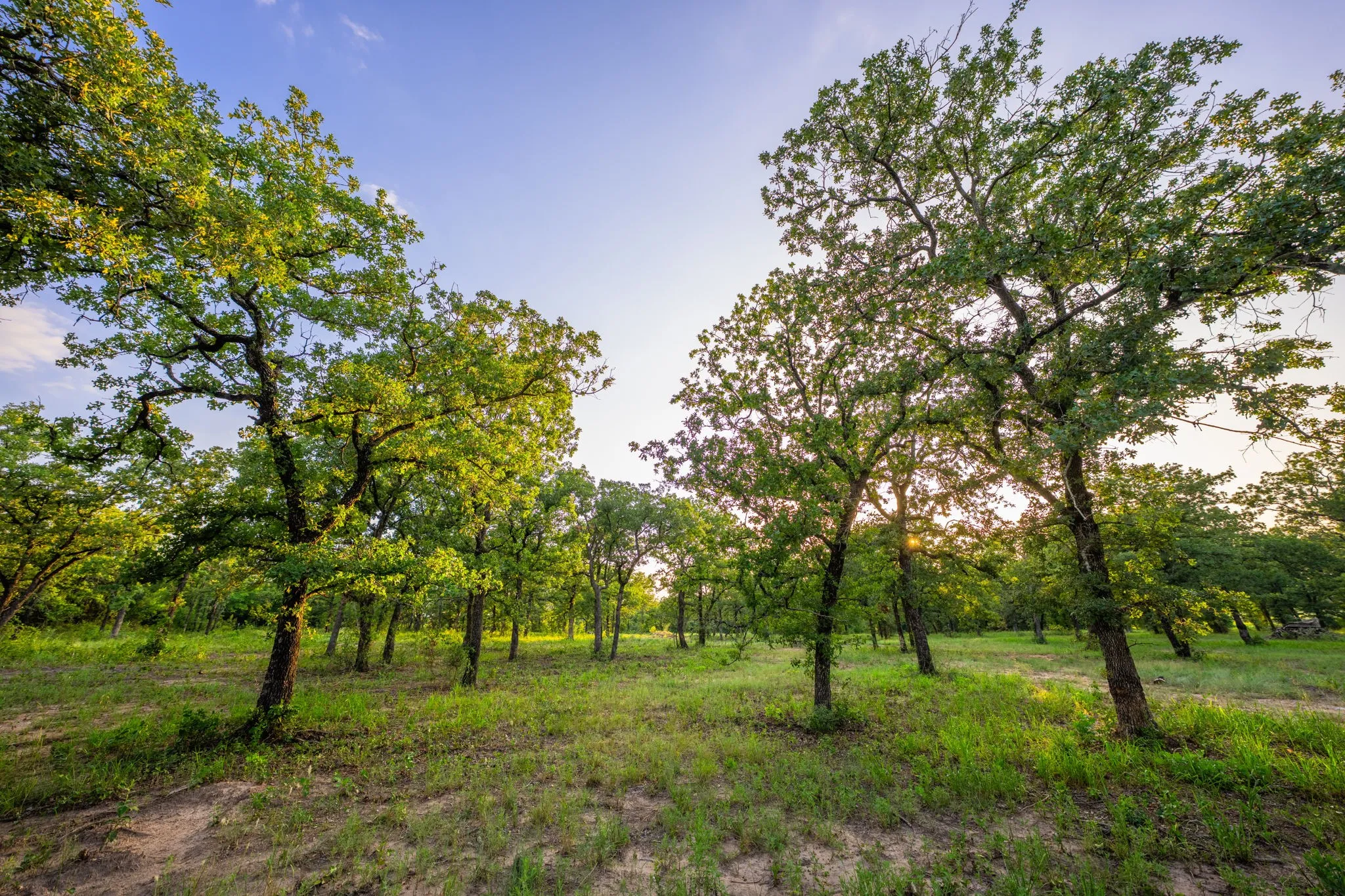 Ranch For Sale in Hood County , 8606 Star Hollow Road, Lipan, Texas 76462, 0, 0, Garage spaces, 0 Sqft, built in 0, Price $1,500,000, mls#21353427, Real Estate Agent in Lipan, Homes For Sale in Hood county, Homes For Sale in Lipan, Realtor in Lipan Texas, Real Estate Brokerage Independent Realty Texas, Luminita Cordes Realtor