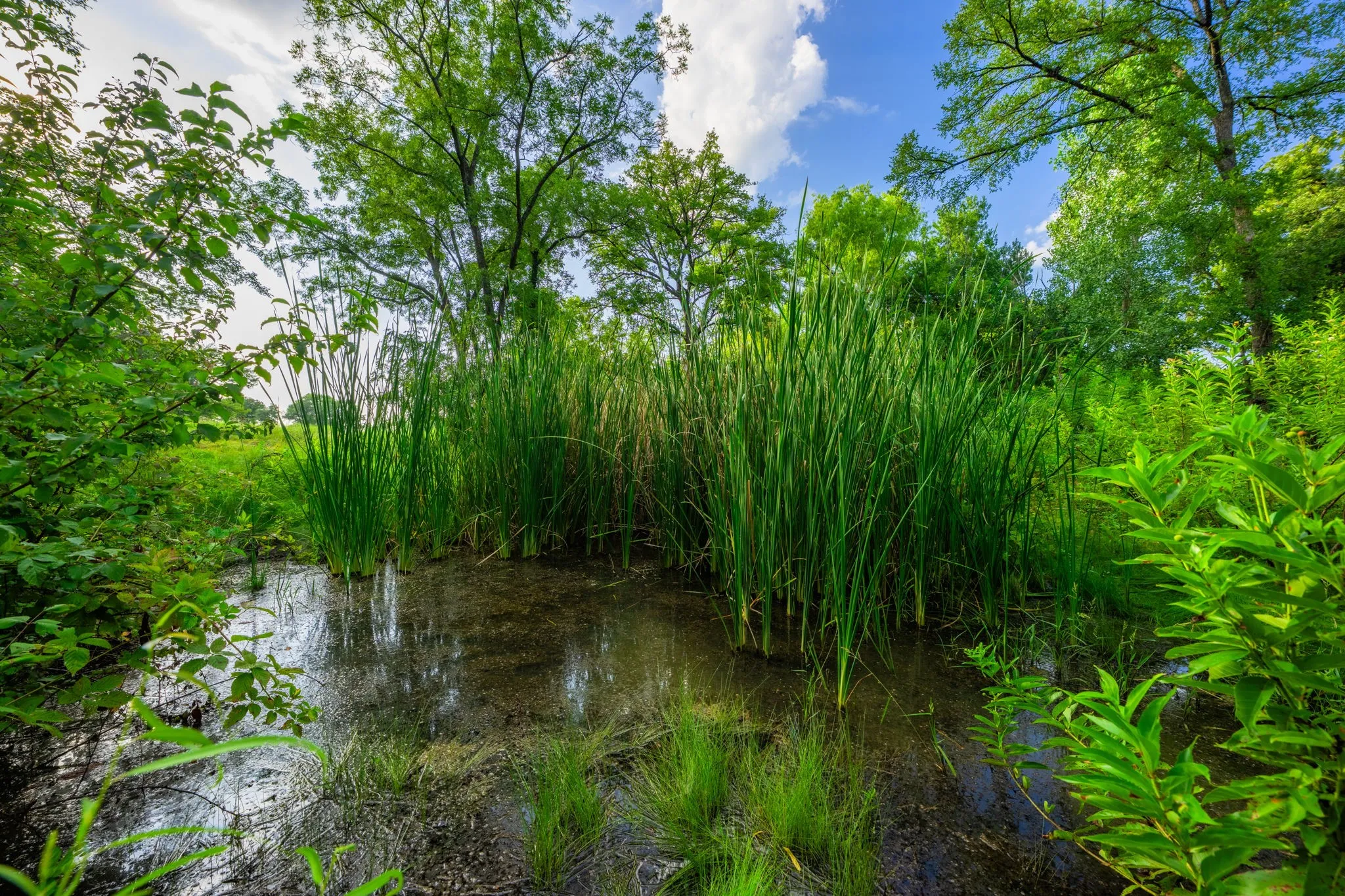 Ranch For Sale in Hood County , 8606 Star Hollow Road, Lipan, Texas 76462, 0, 0, Garage spaces, 0 Sqft, built in 0, Price $1,500,000, mls#21353427, Real Estate Agent in Lipan, Homes For Sale in Hood county, Homes For Sale in Lipan, Realtor in Lipan Texas, Real Estate Brokerage Independent Realty Texas, Luminita Cordes Realtor