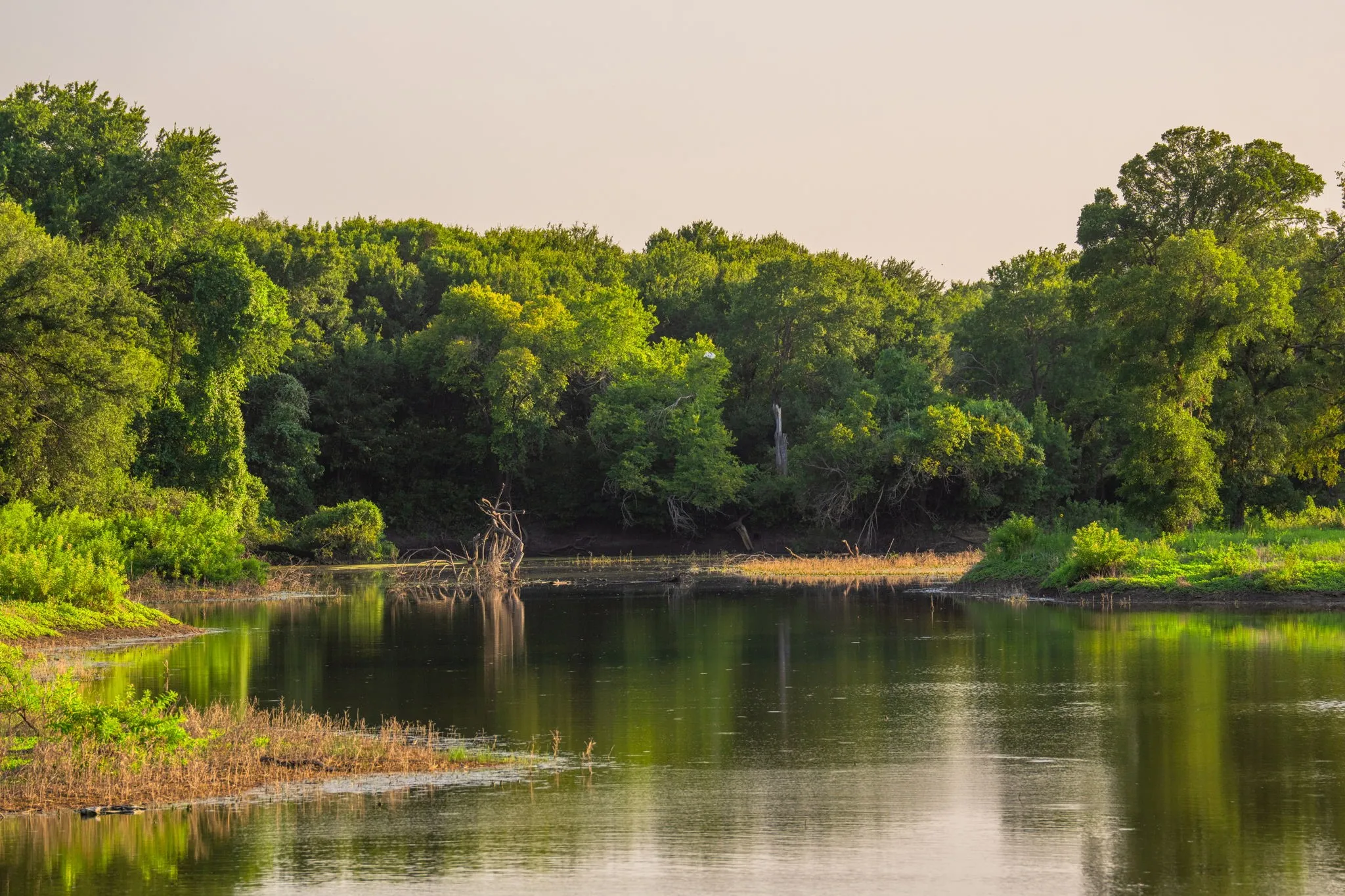 Ranch For Sale in Hood County , 8606 Star Hollow Road, Lipan, Texas 76462, 0, 0, Garage spaces, 0 Sqft, built in 0, Price $1,500,000, mls#21353427, Real Estate Agent in Lipan, Homes For Sale in Hood county, Homes For Sale in Lipan, Realtor in Lipan Texas, Real Estate Brokerage Independent Realty Texas, Luminita Cordes Realtor