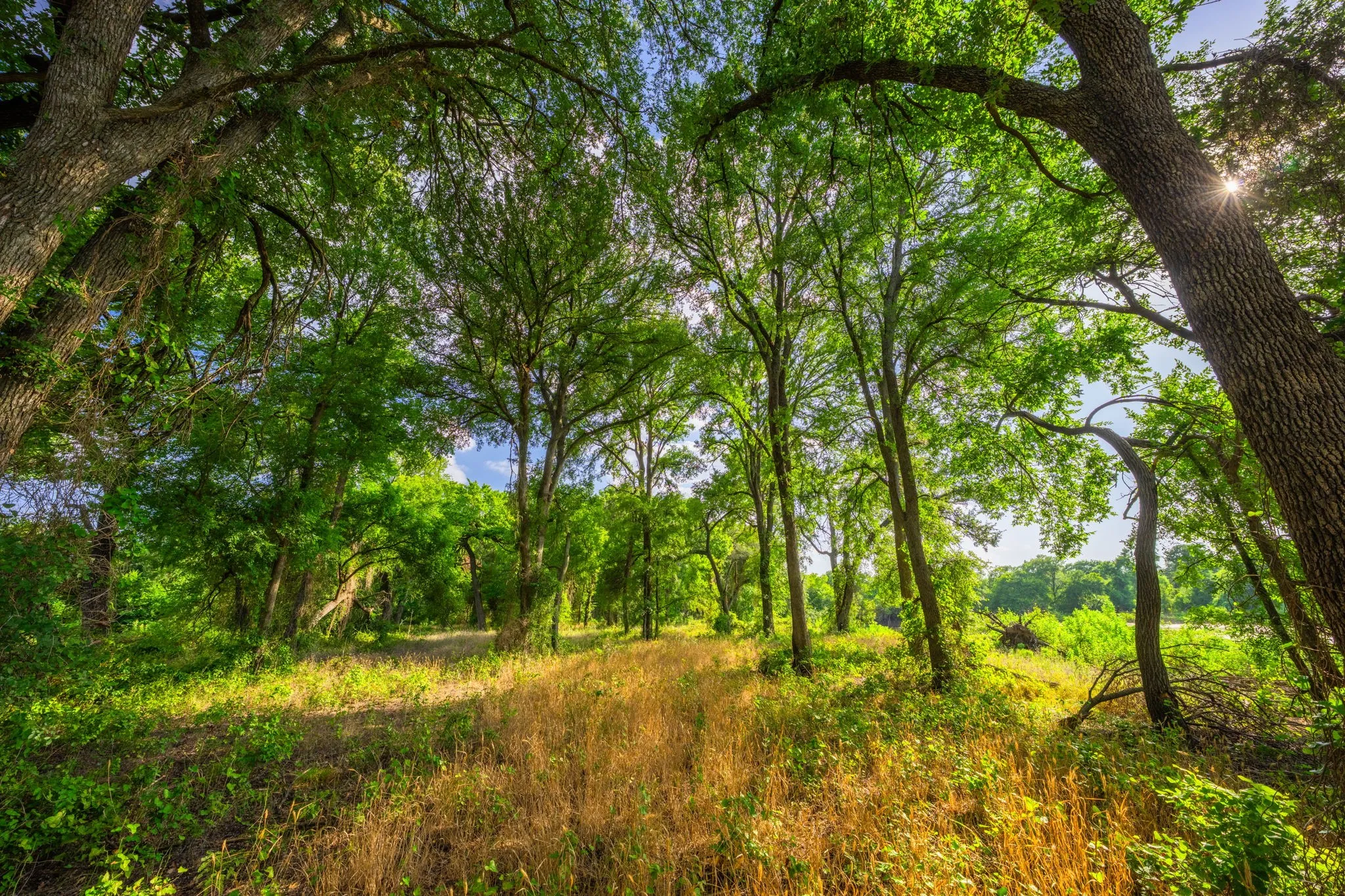 Ranch For Sale in Hood County , 8606 Star Hollow Road, Lipan, Texas 76462, 0, 0, Garage spaces, 0 Sqft, built in 0, Price $1,500,000, mls#21353427, Real Estate Agent in Lipan, Homes For Sale in Hood county, Homes For Sale in Lipan, Realtor in Lipan Texas, Real Estate Brokerage Independent Realty Texas, Luminita Cordes Realtor